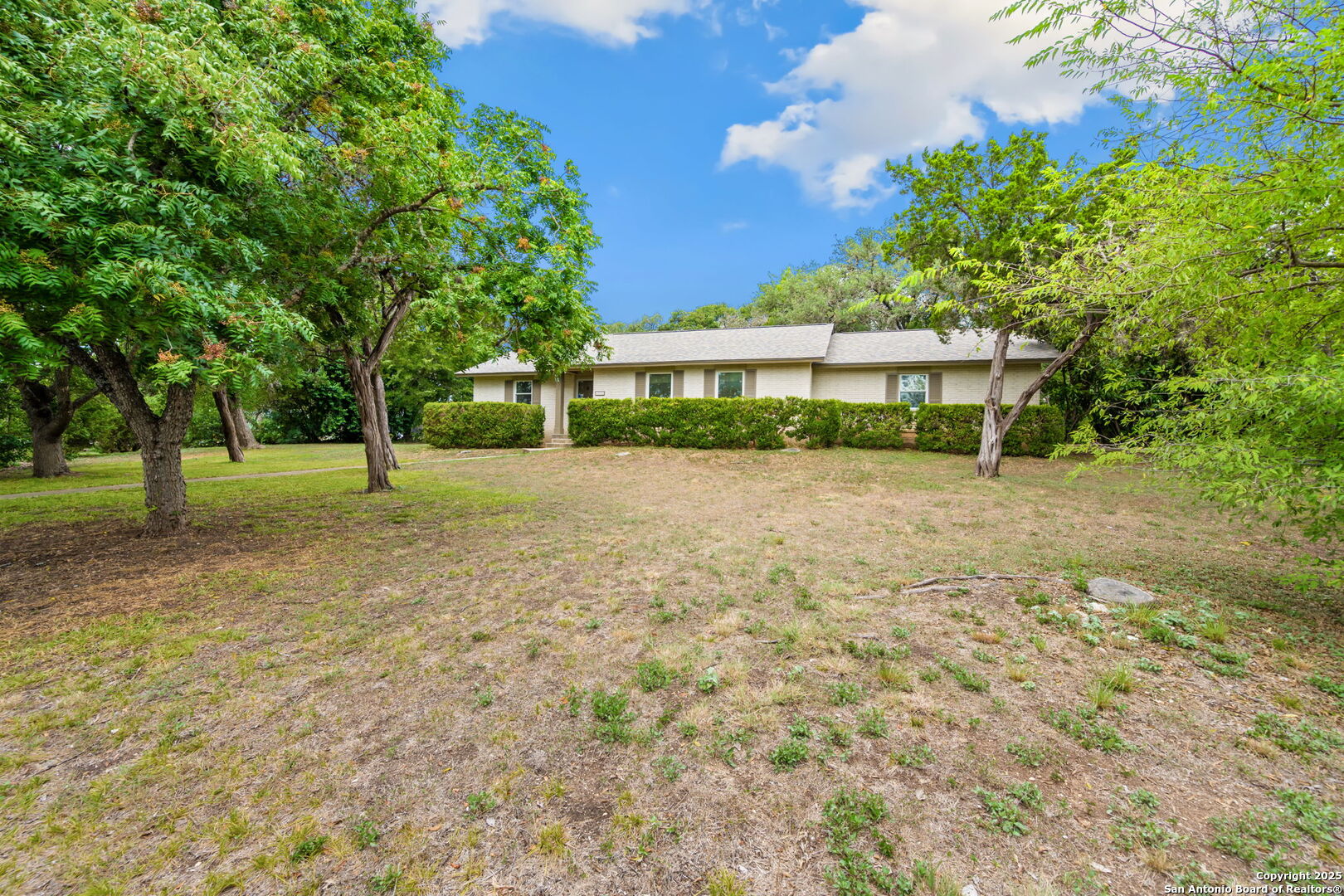10703 Laurel Leaf