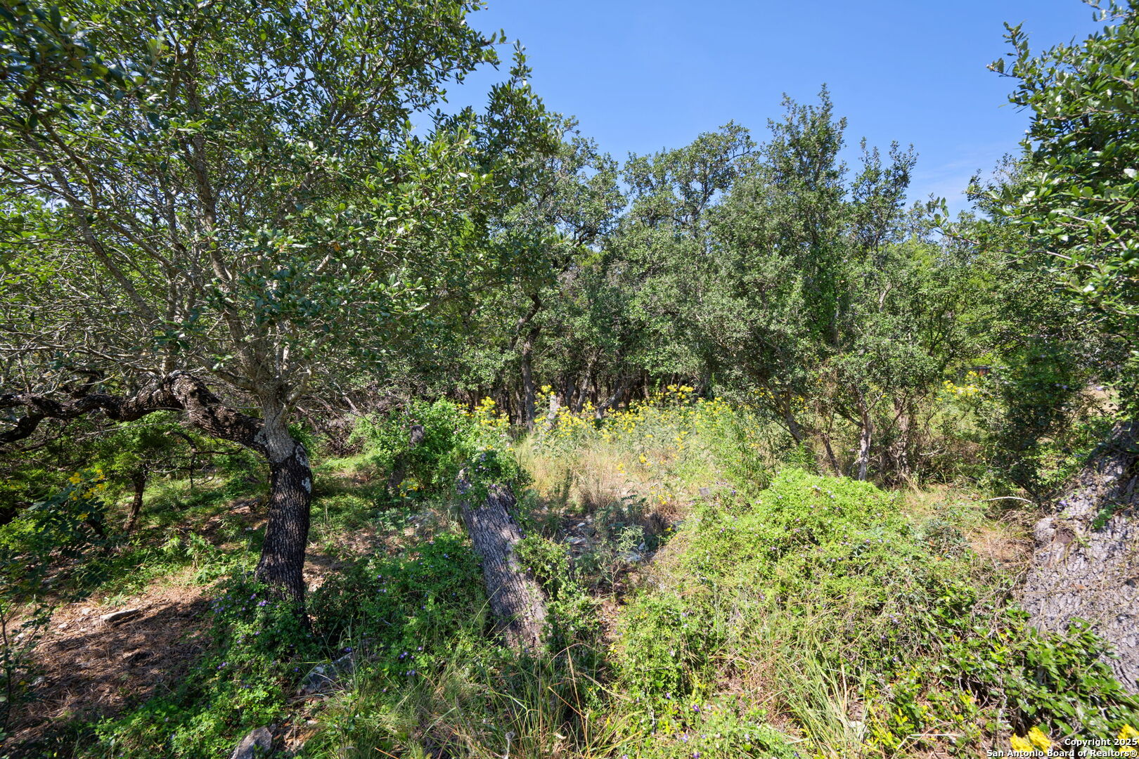 1056 Flagstone