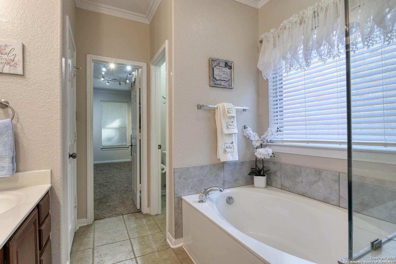 24503 Elise Falls