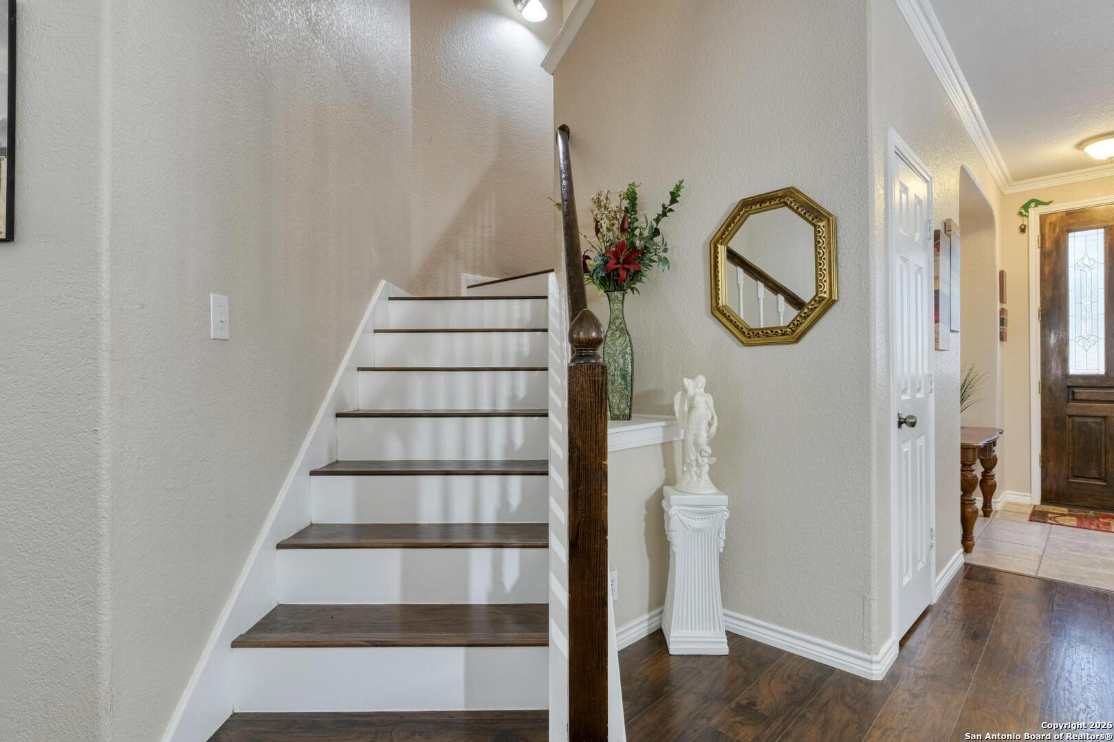 24503 Elise Falls