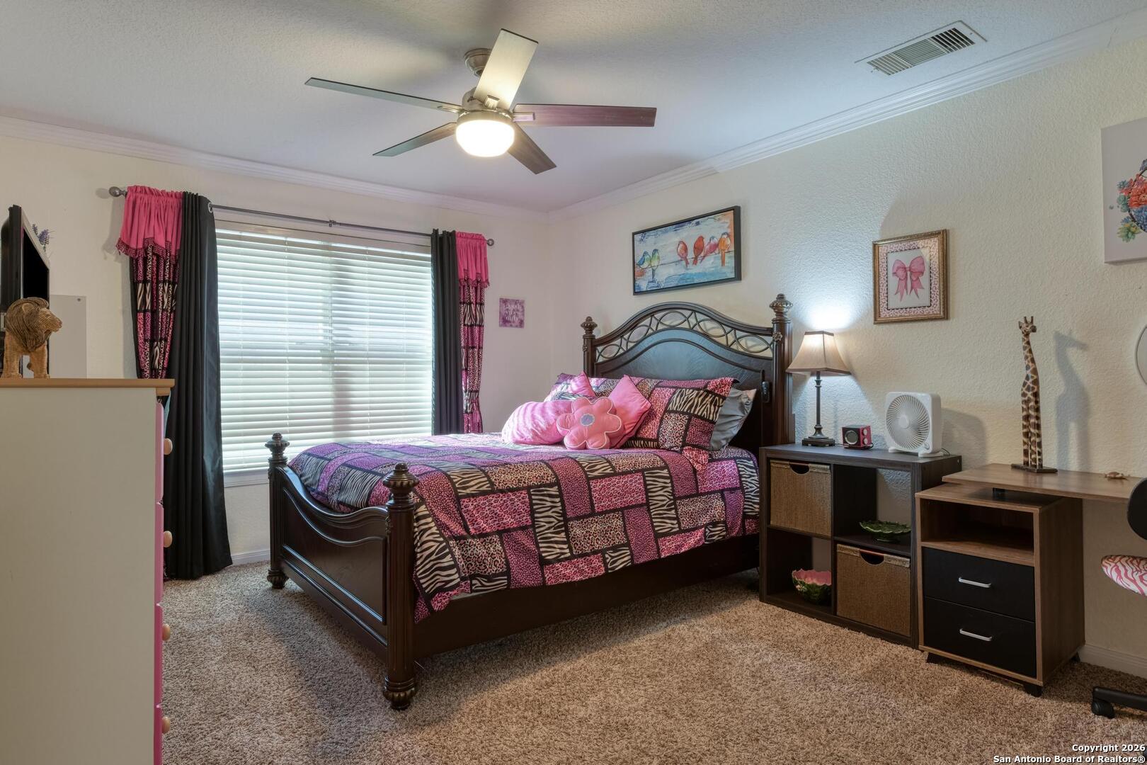 24503 Elise Falls