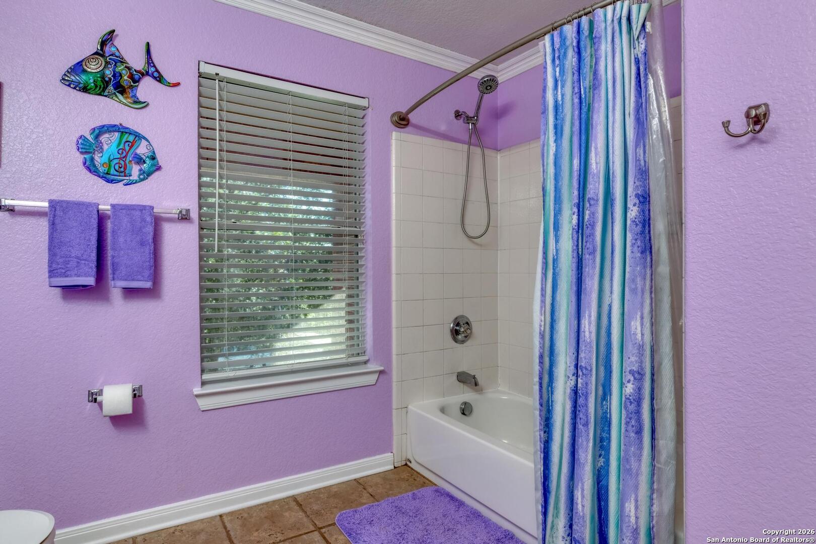 24503 Elise Falls