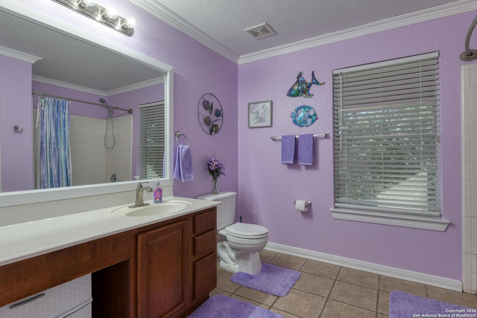24503 Elise Falls