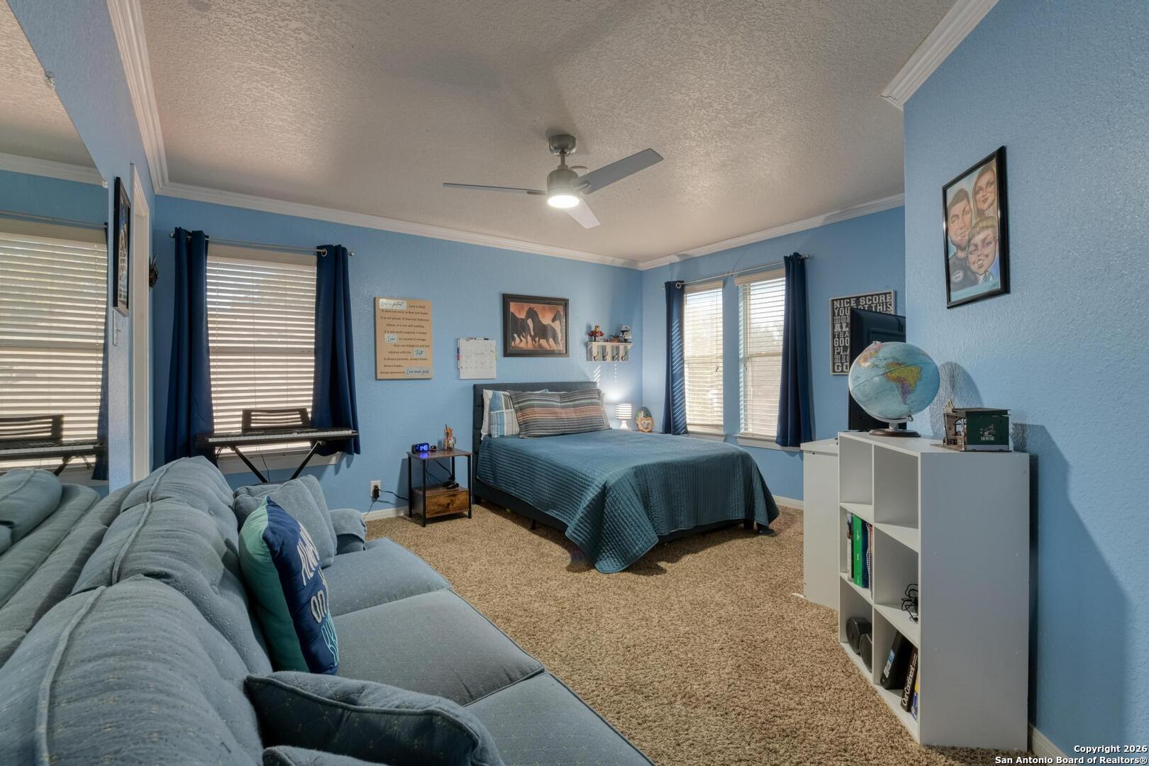 24503 Elise Falls