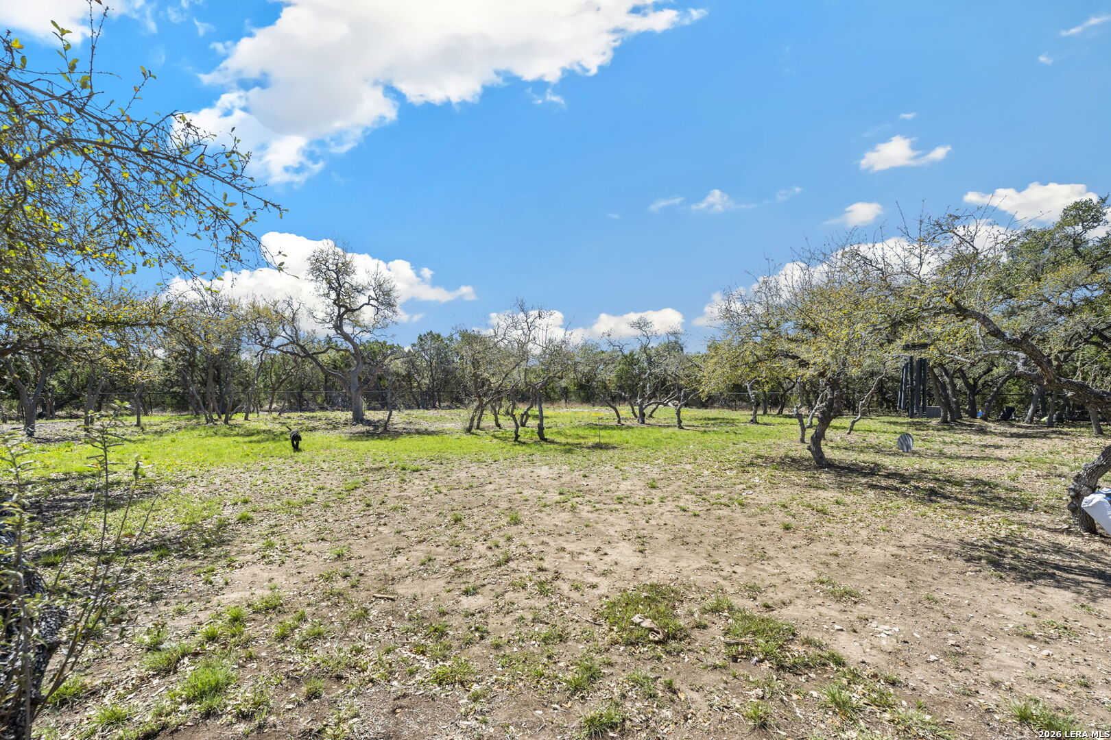 979 Belle Oaks