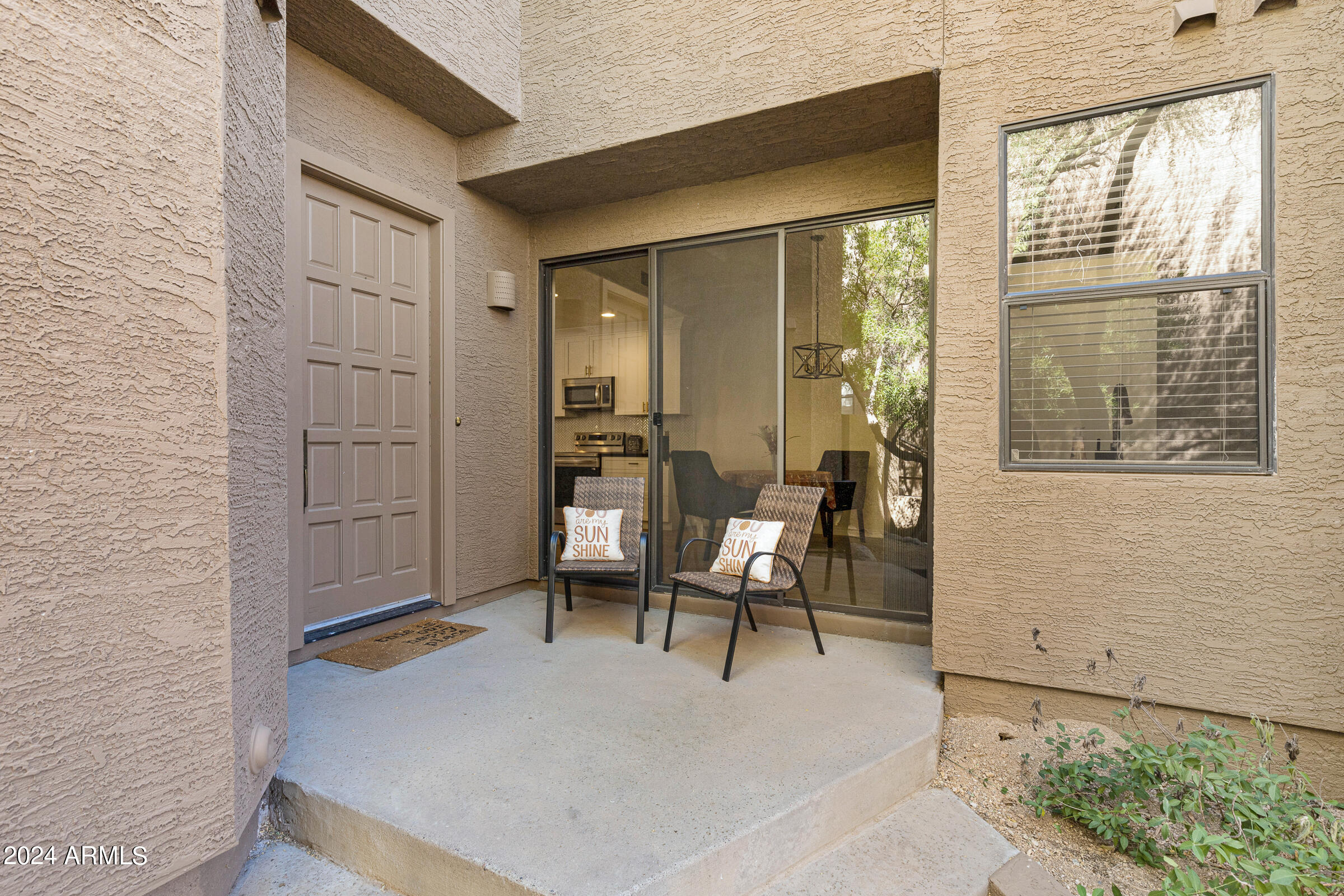 25555 N Windy Walk Drive, 60
