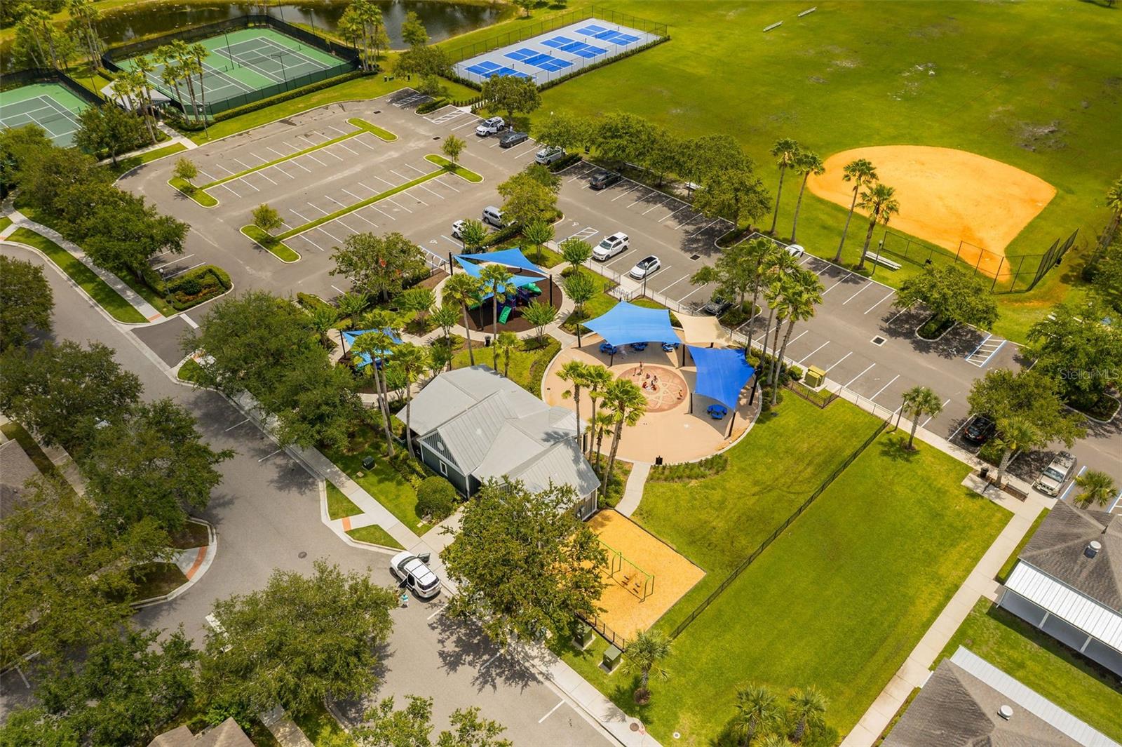 2246 FLORIDA SOAPBERRY BLVD