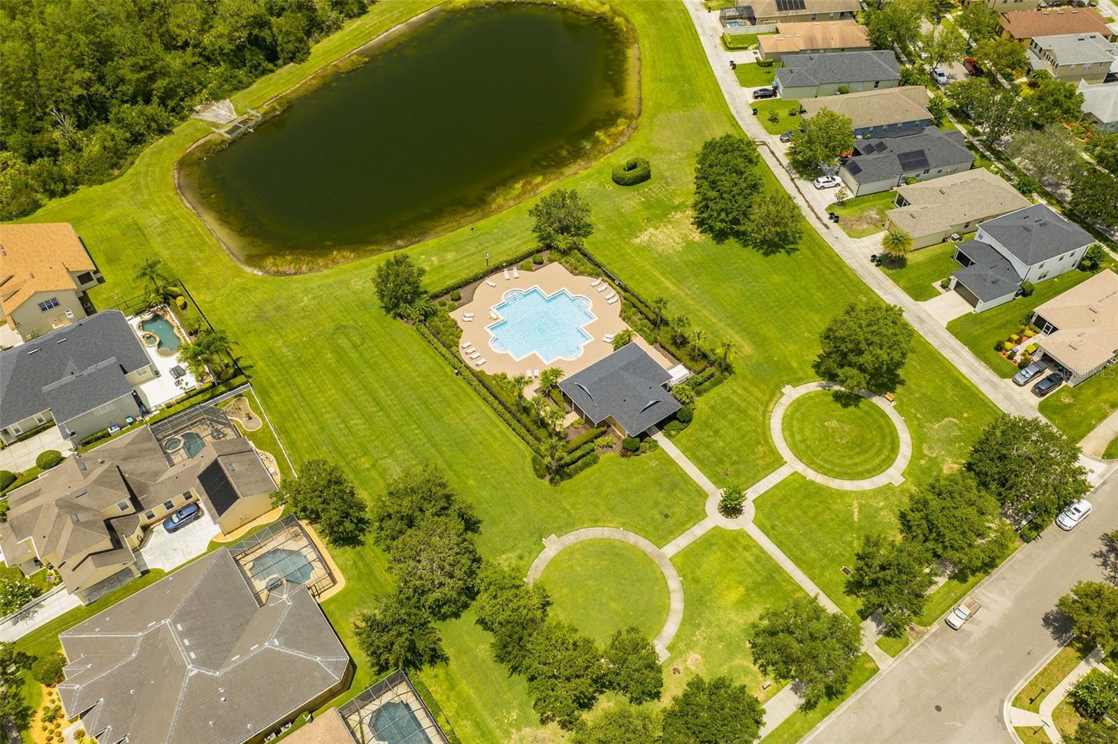 2246 FLORIDA SOAPBERRY BLVD