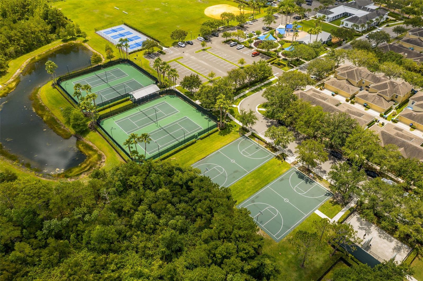 2246 FLORIDA SOAPBERRY BLVD