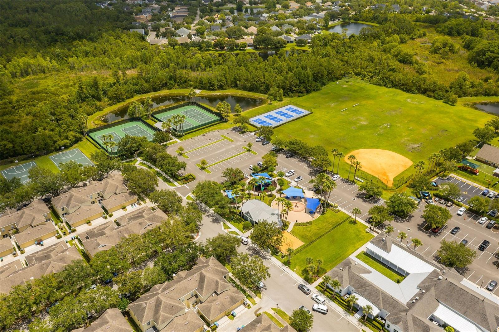 2246 FLORIDA SOAPBERRY BLVD