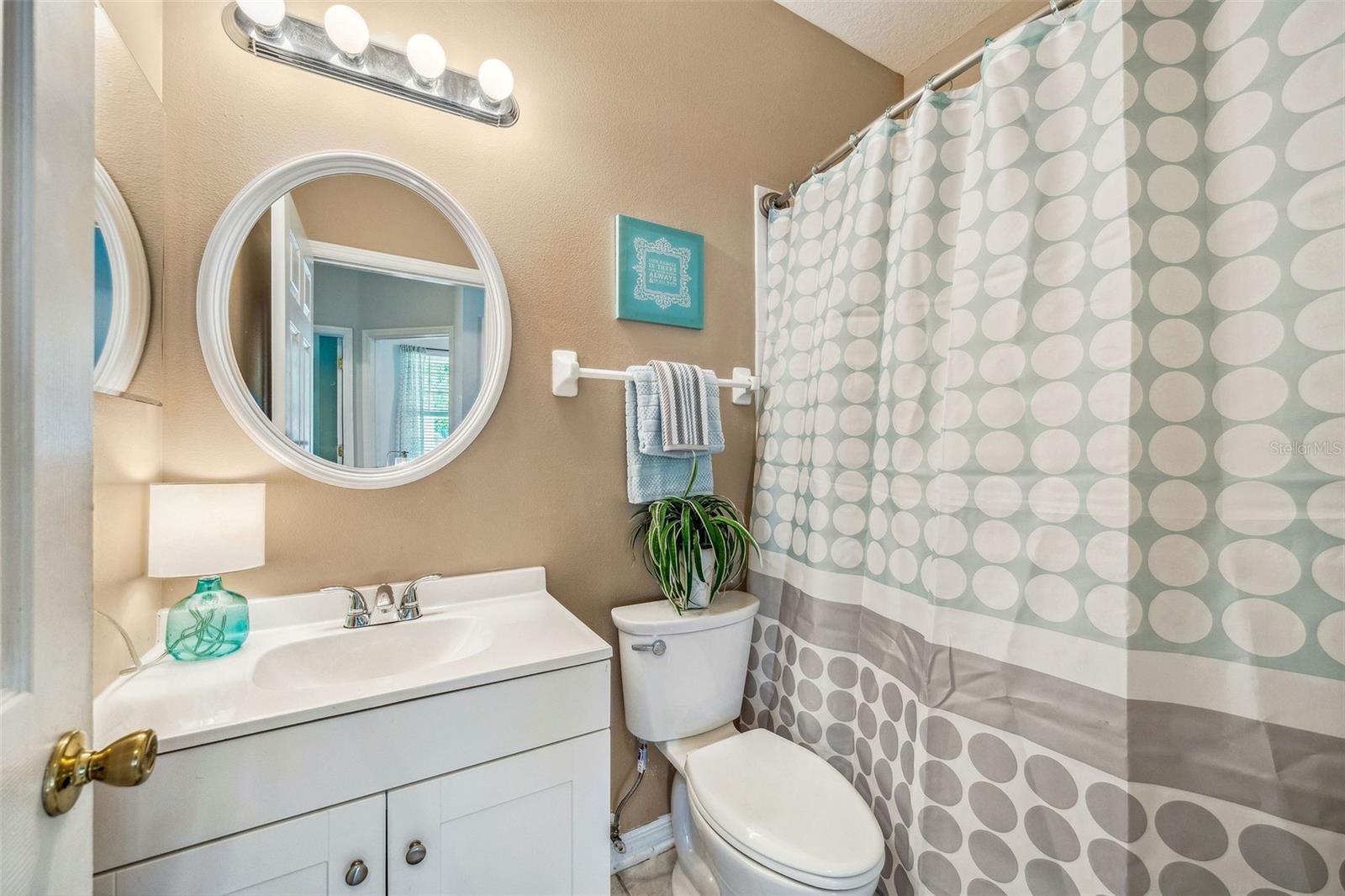 2246 FLORIDA SOAPBERRY BLVD