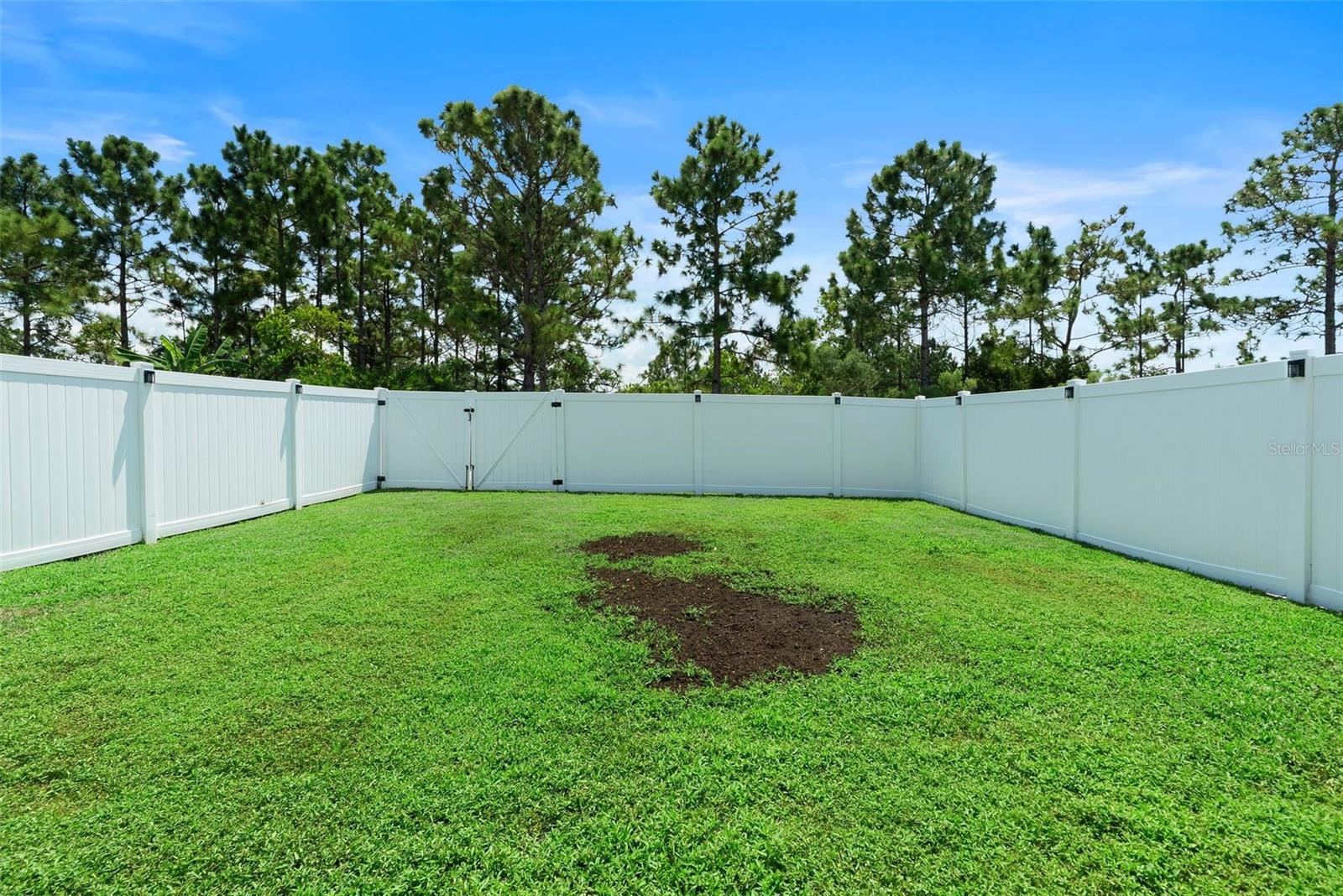 2324 WILD TAMARIND BLVD