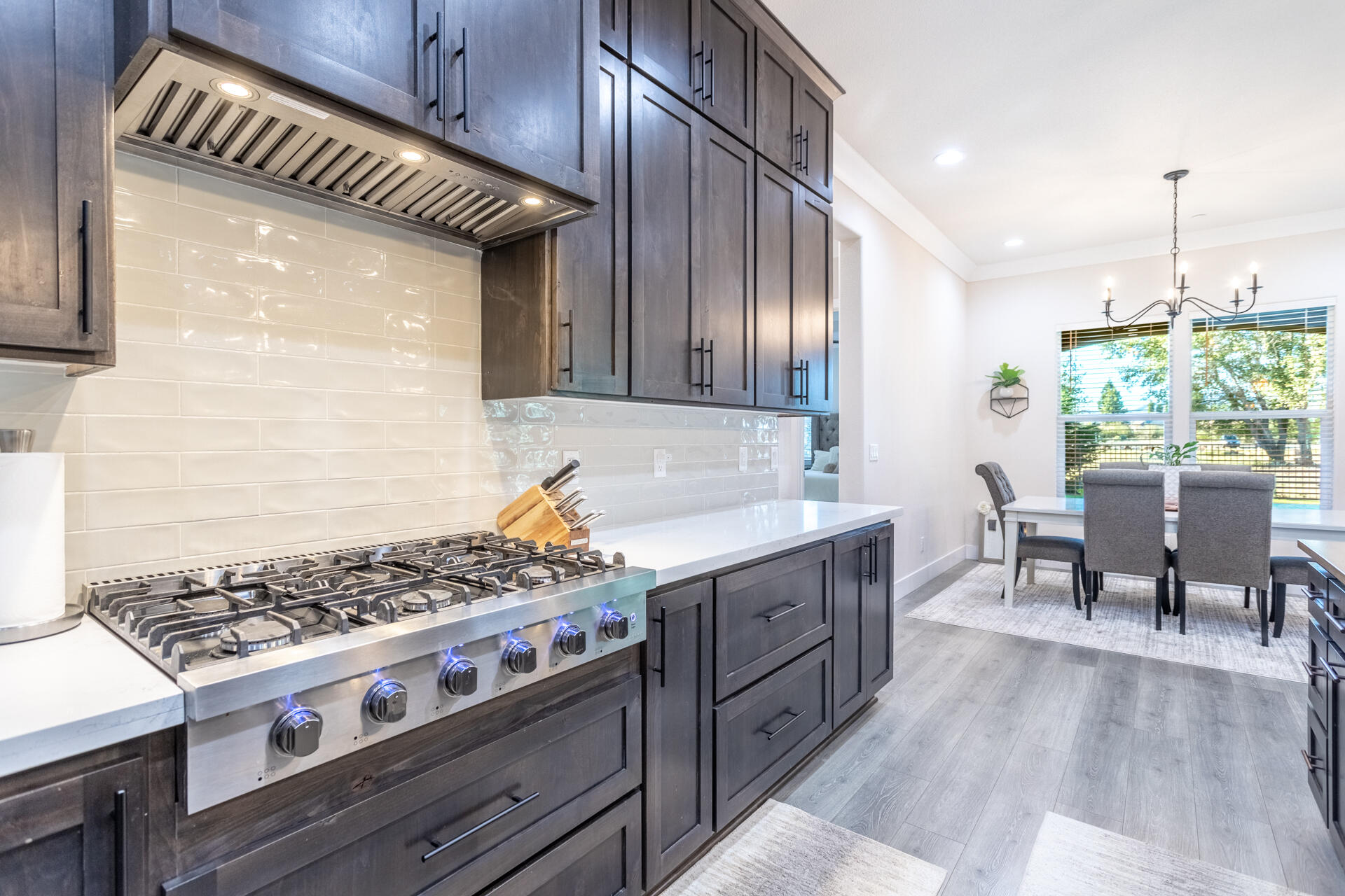 910 Santa Cruz Drive