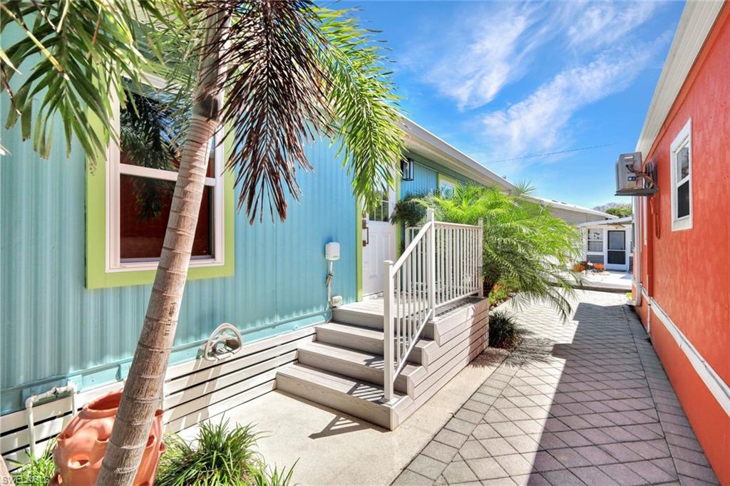 414 Papaya ST 53