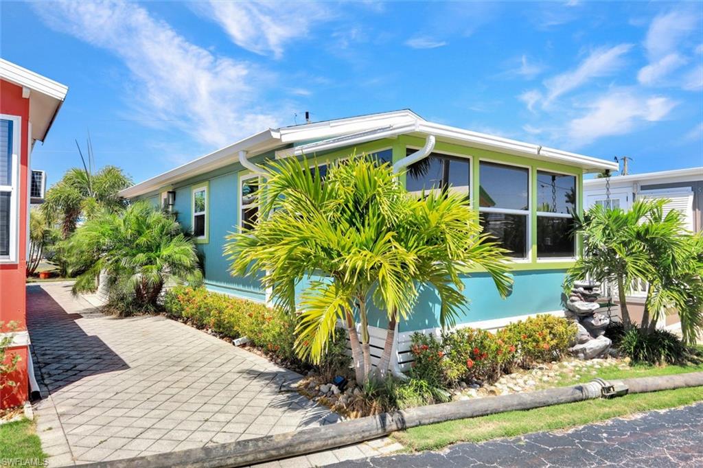 414 Papaya ST 53