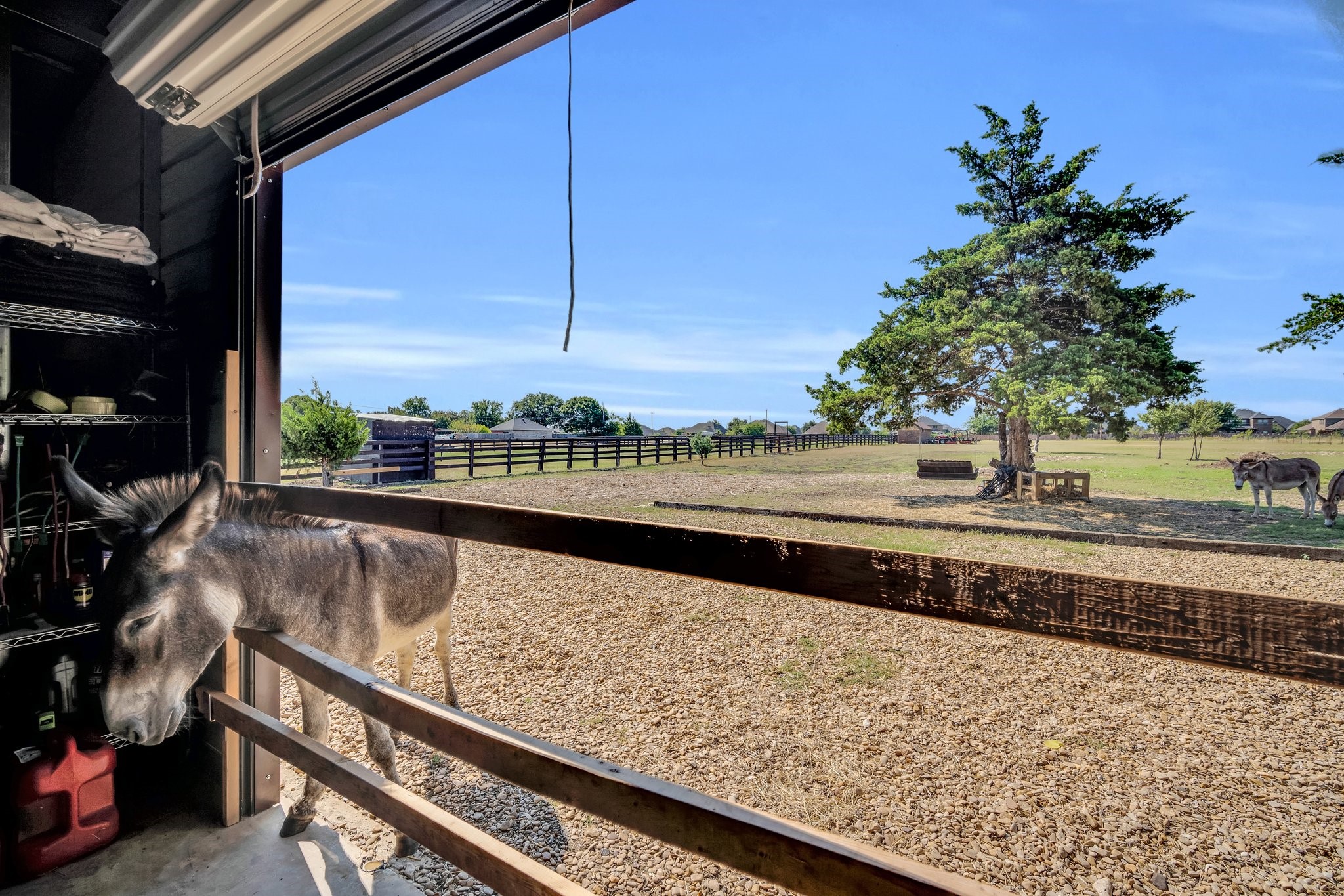 116 Spring Creek Drive