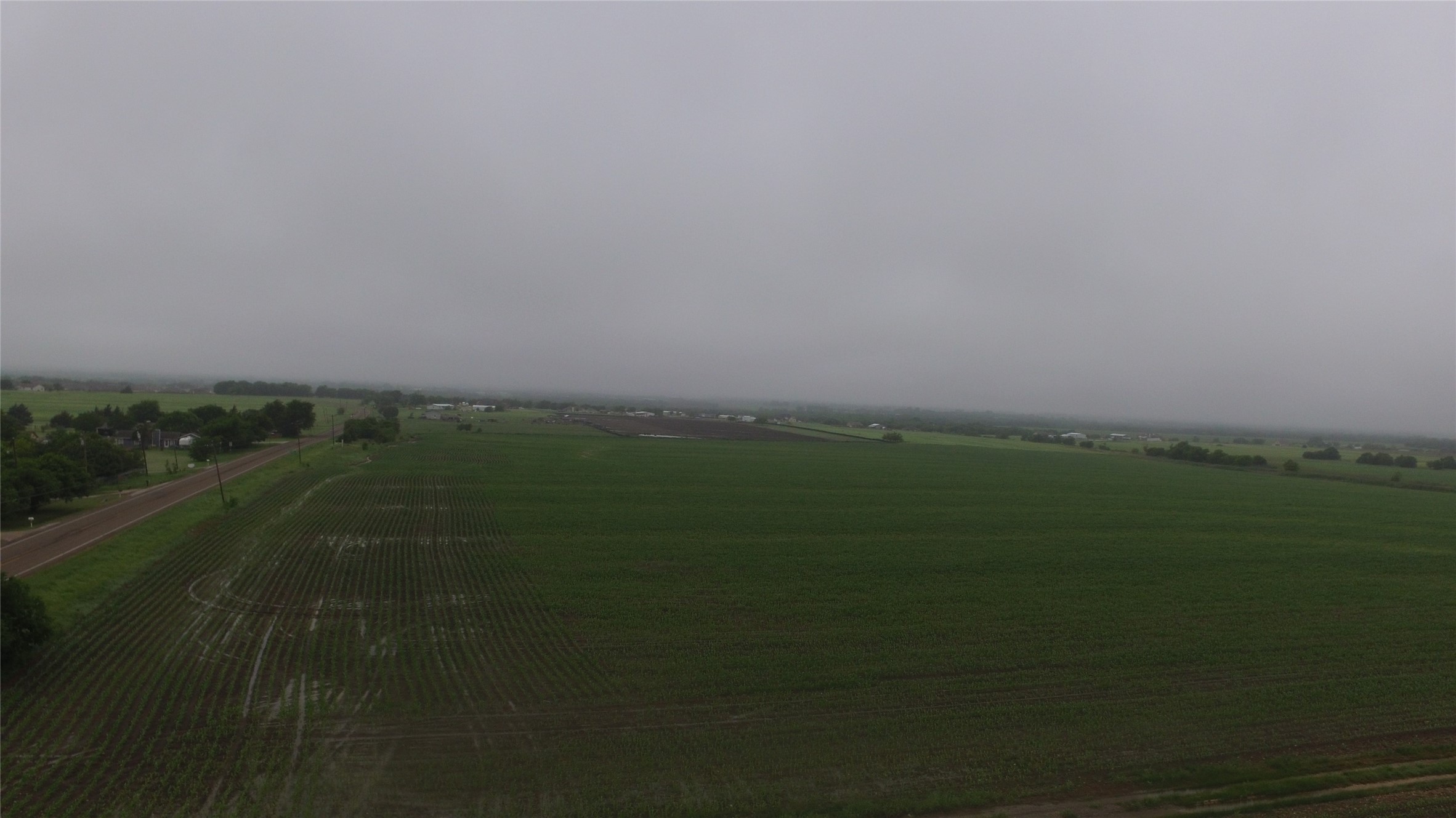 1650 FM 1807