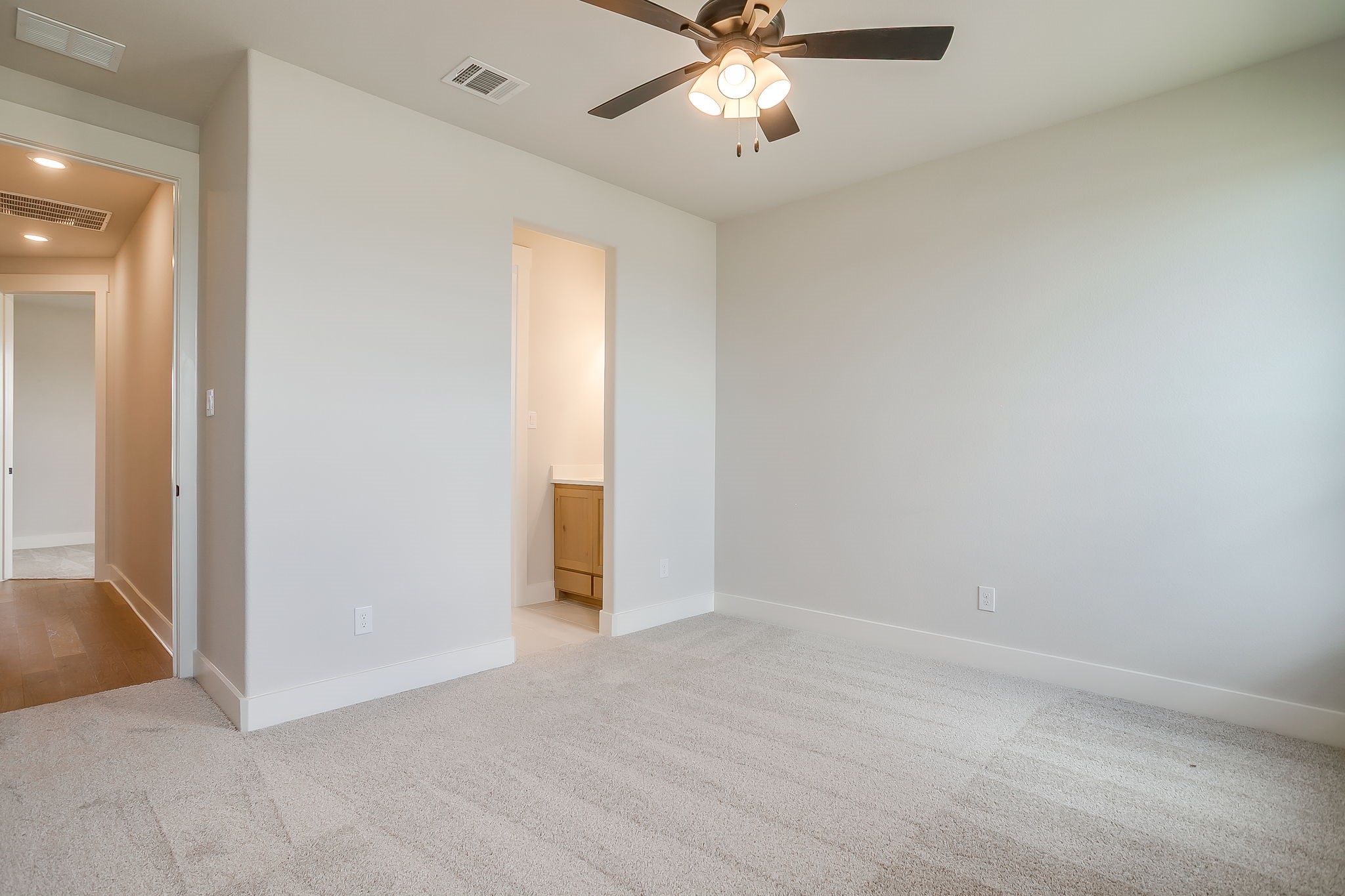 1011 Bartlett Peak Drive