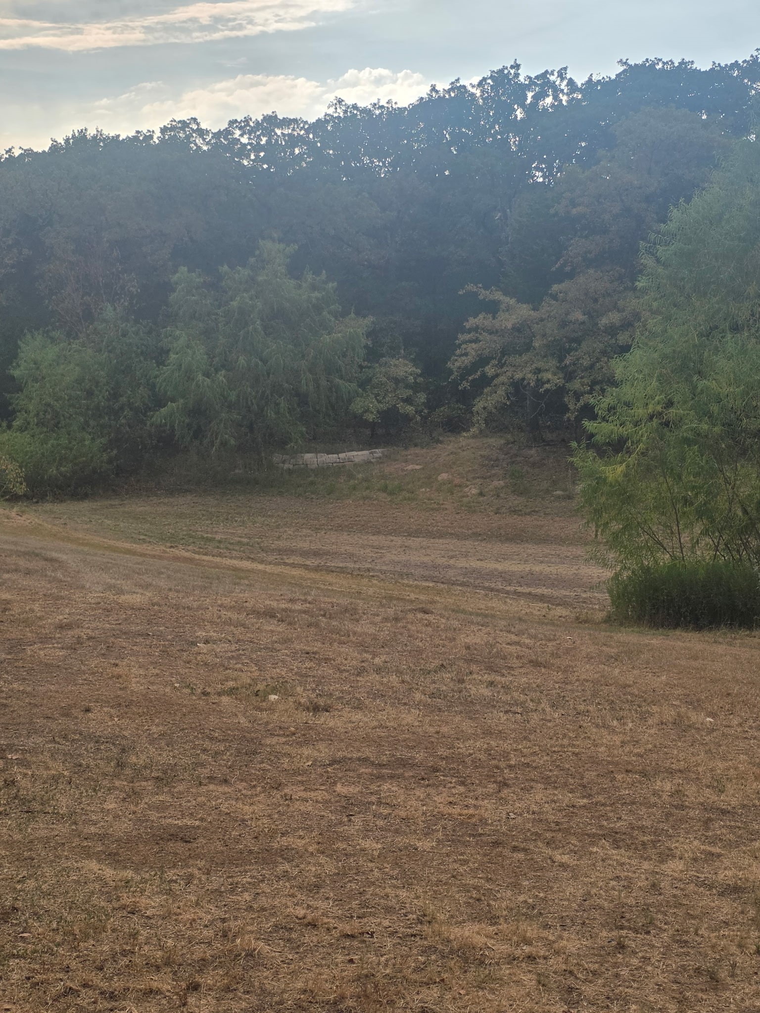 490 Hill County Road 1250