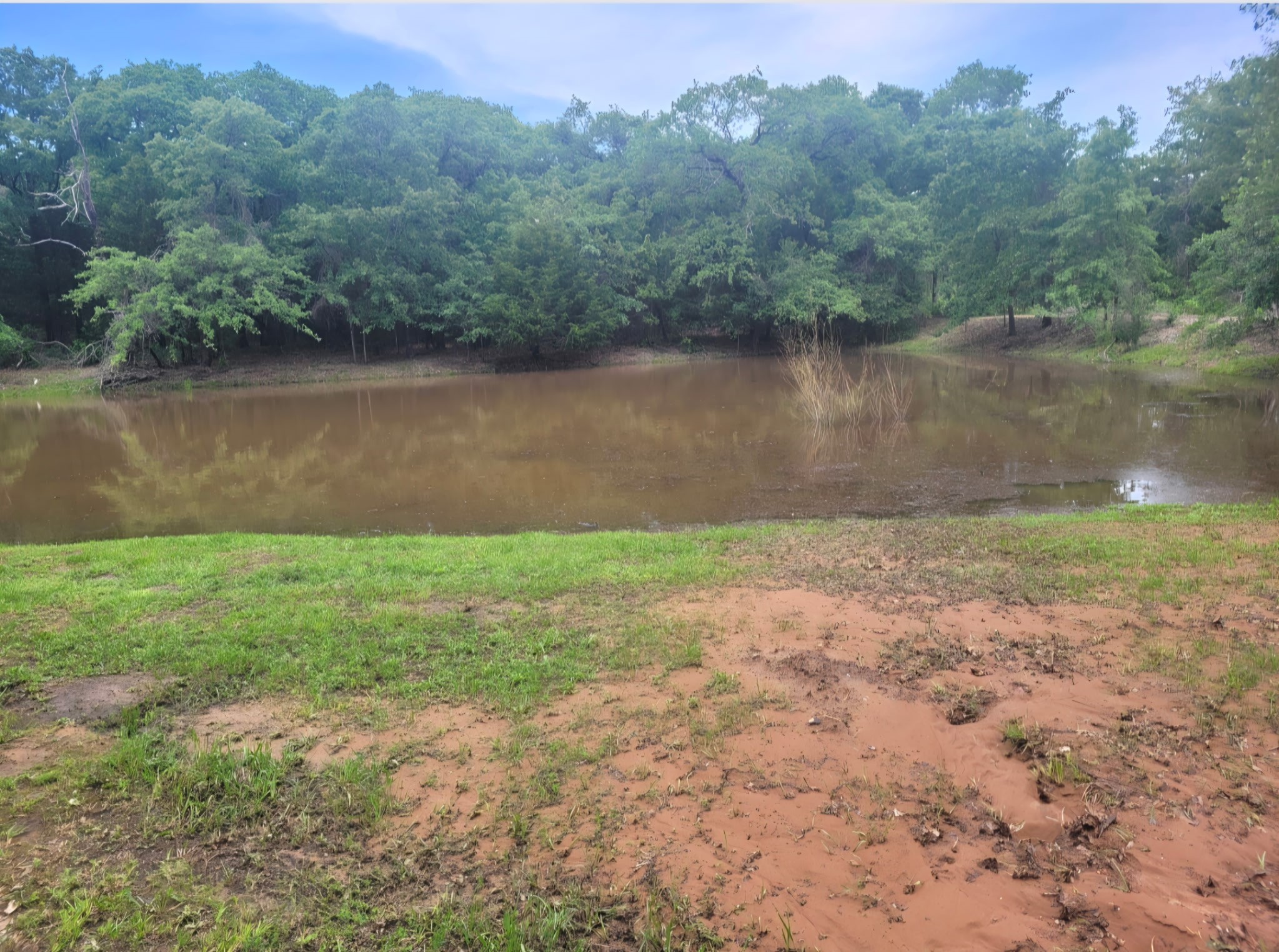 490 Hill County Road 1250