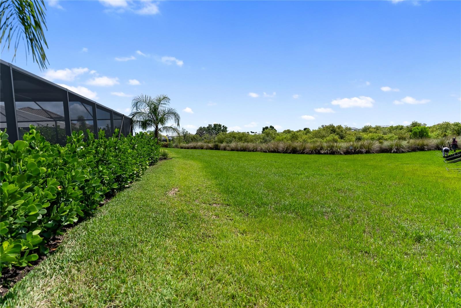 17737 SAVORY MIST CIR