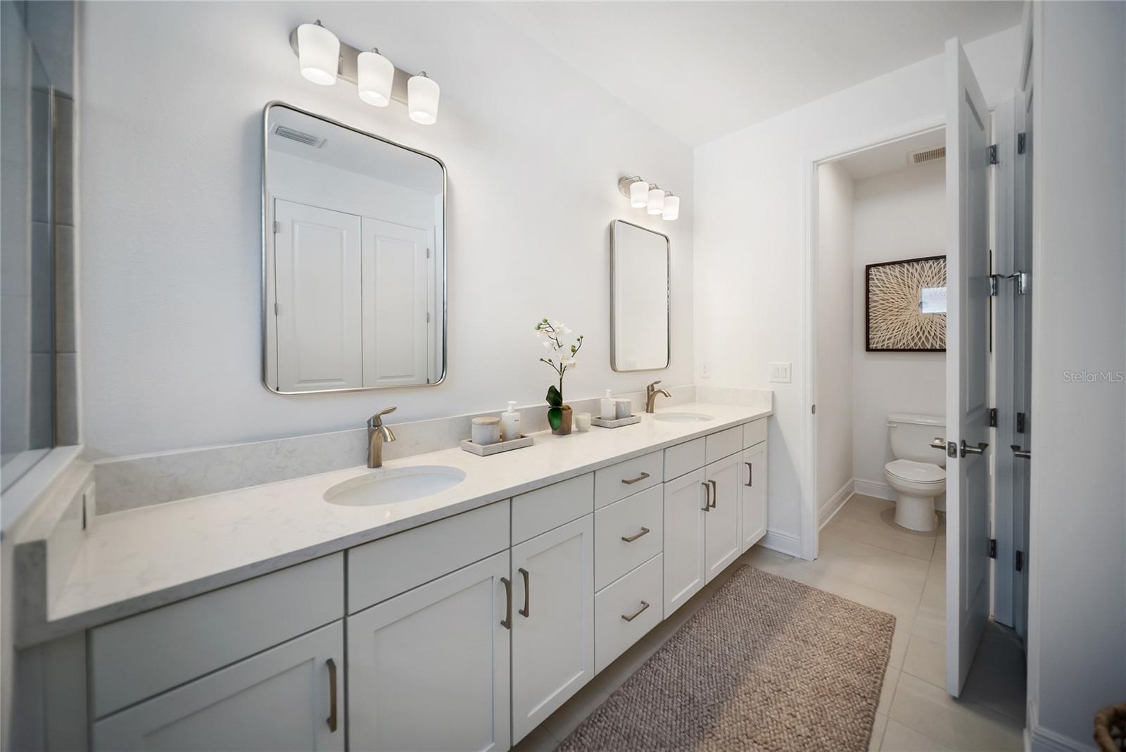 17737 SAVORY MIST CIR