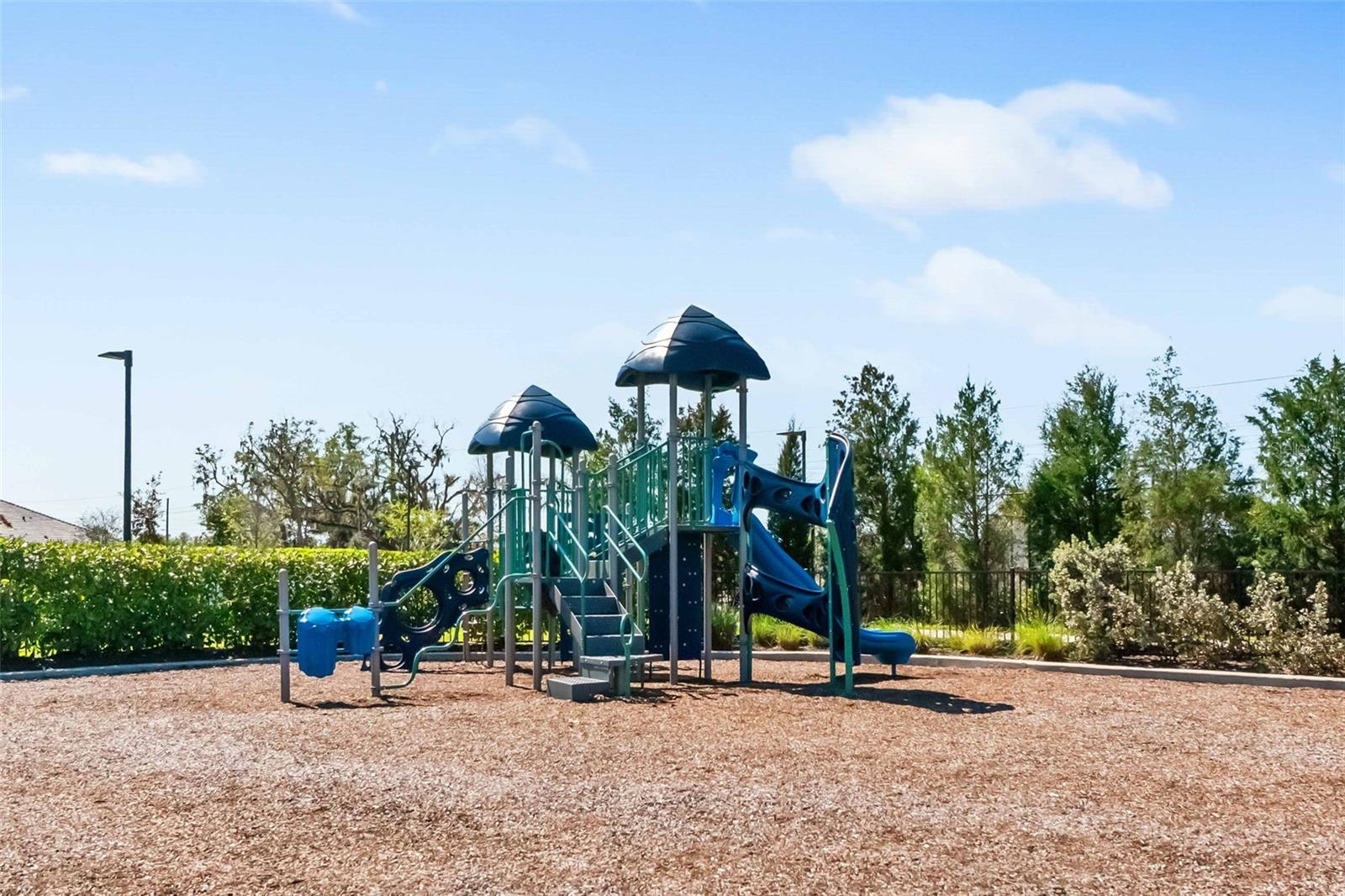 2720 BUTTERFLY JASMINE TRL