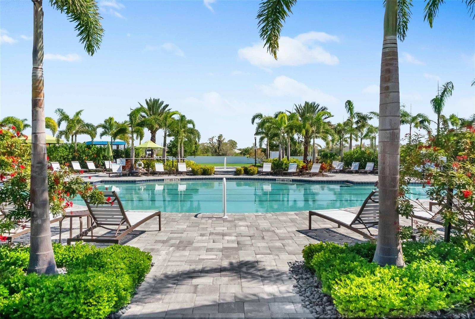 2720 BUTTERFLY JASMINE TRL