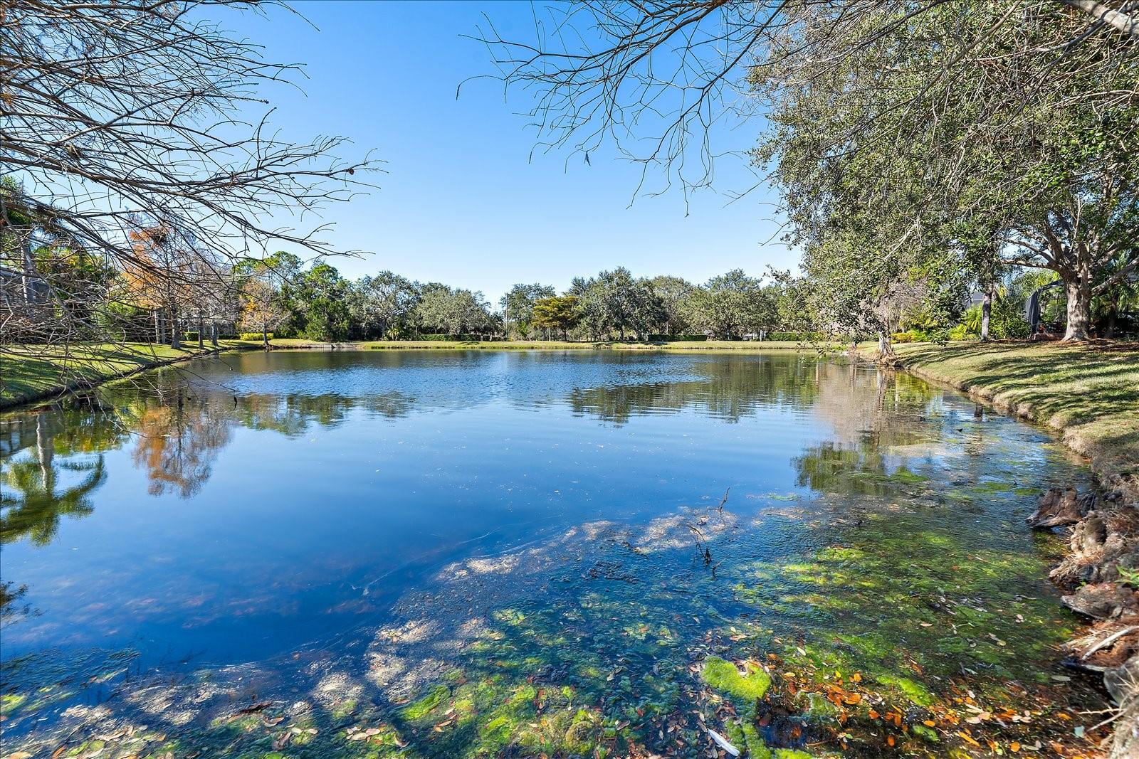 7137 ORCHID ISLAND PL