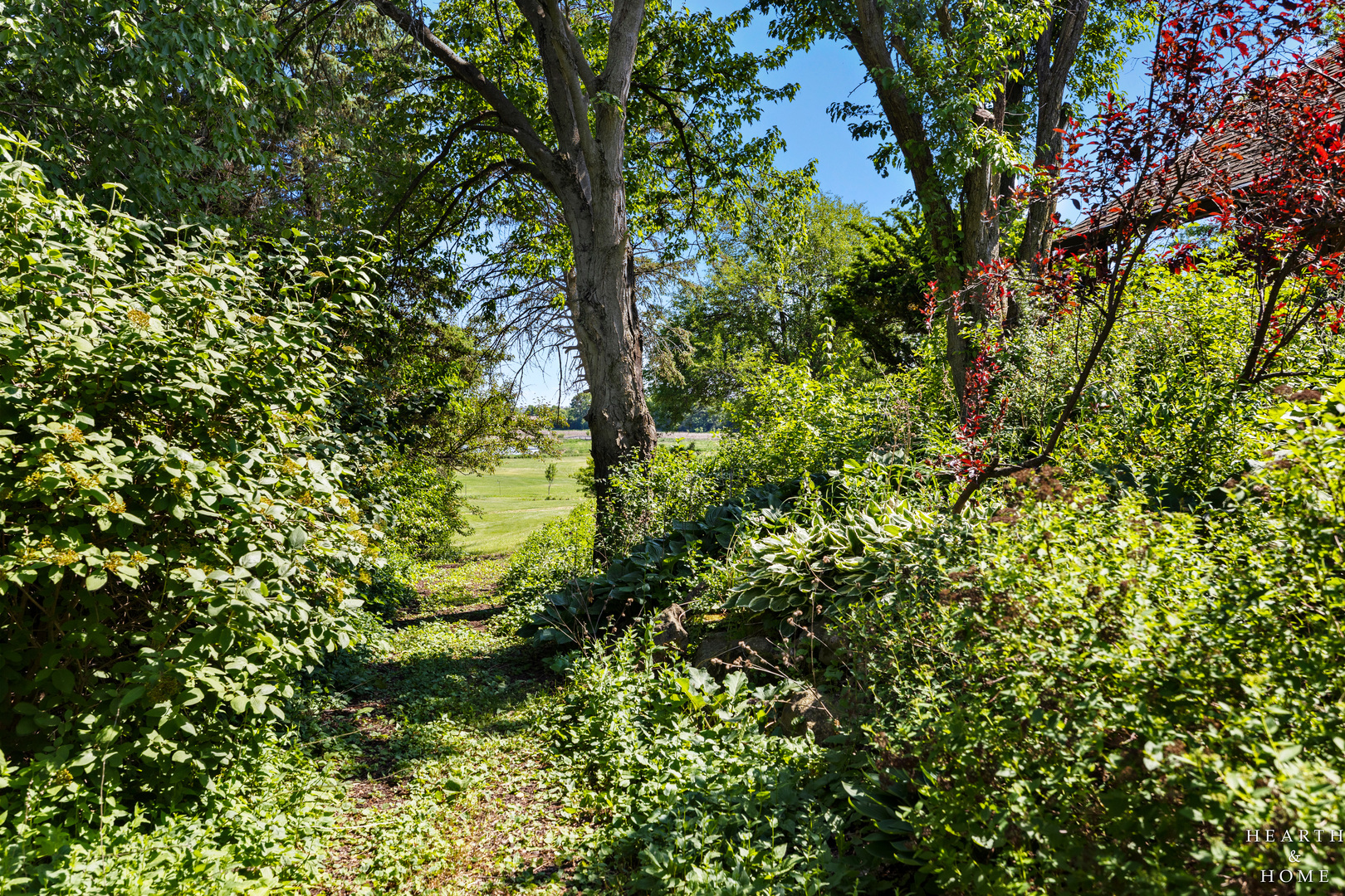 8929 ROBIN HILL ROAD Drive