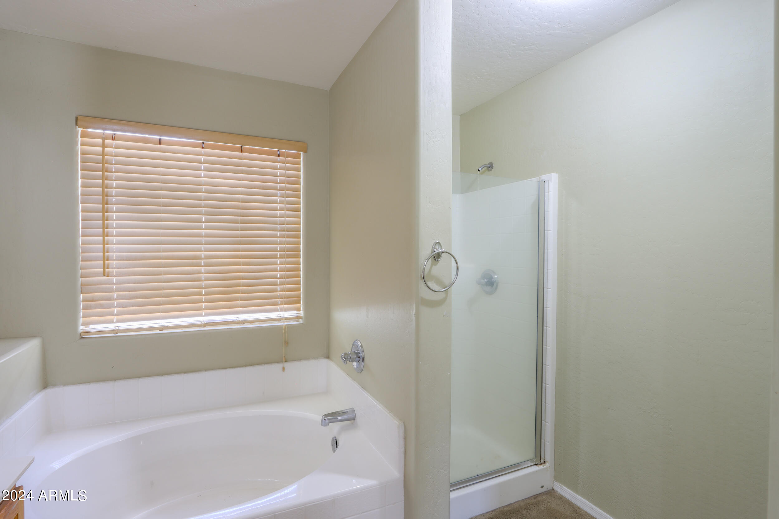 45546 W TULIP Lane