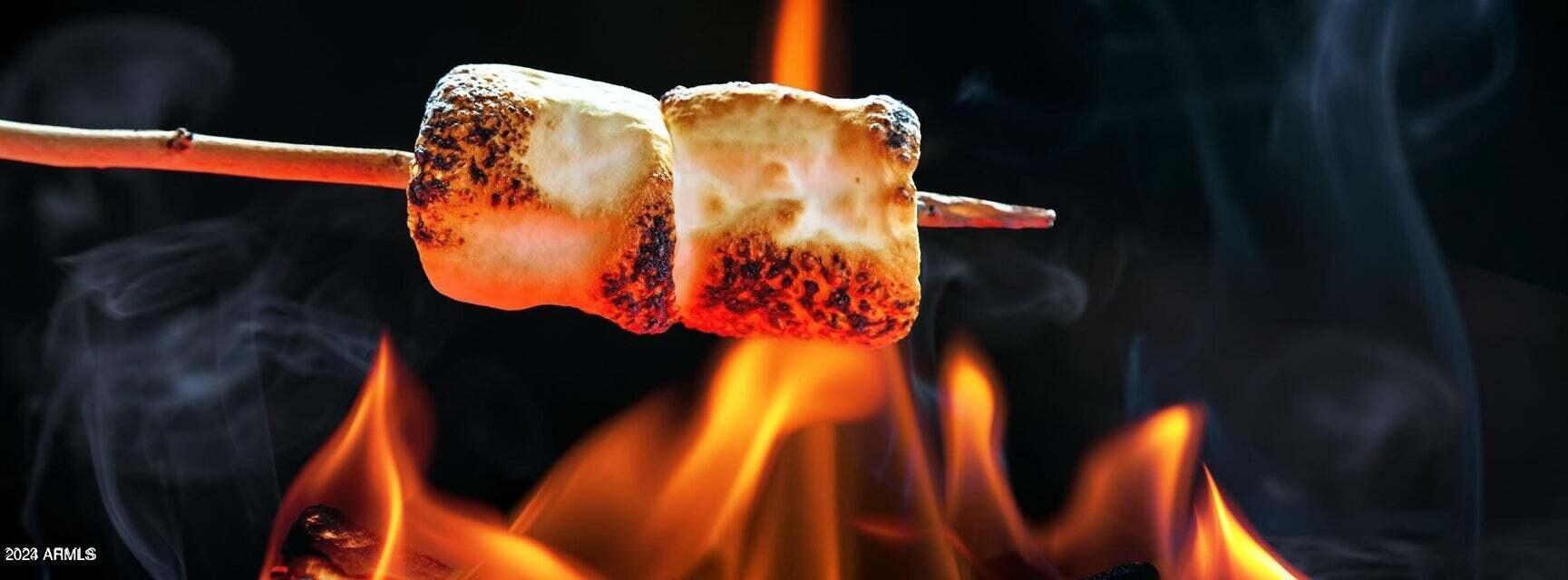 9026 E CASITAS DEL RIO Drive