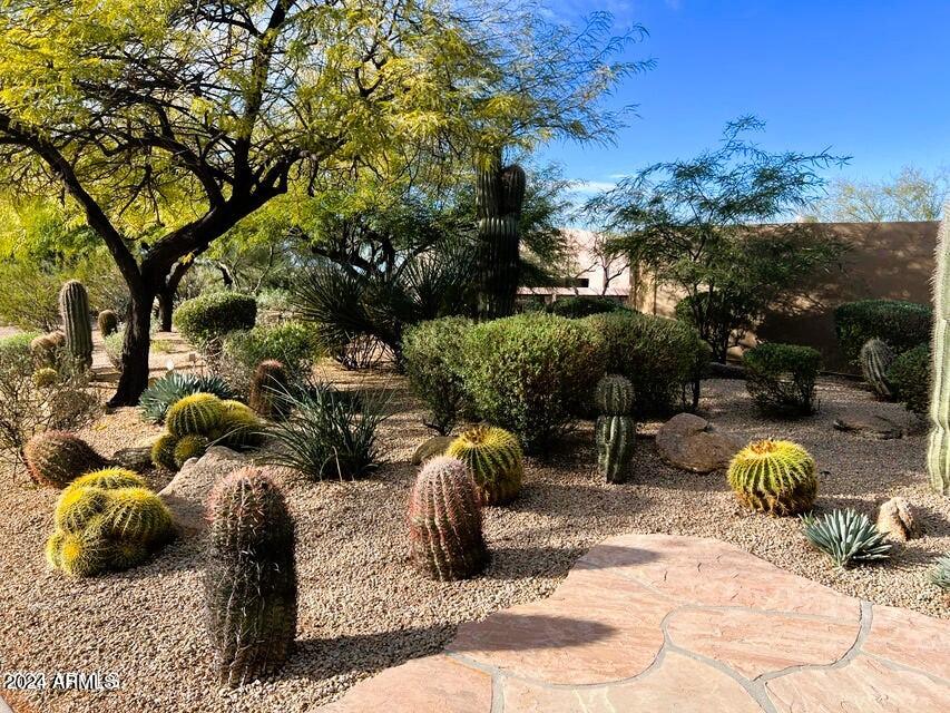 9026 E CASITAS DEL RIO Drive