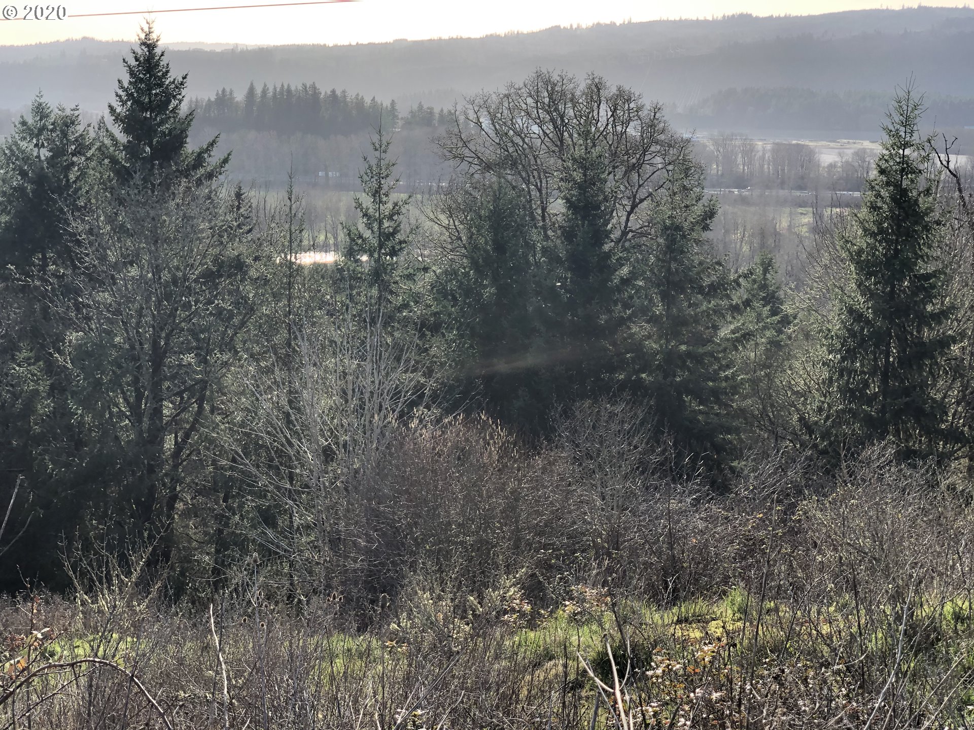 Bluff RD