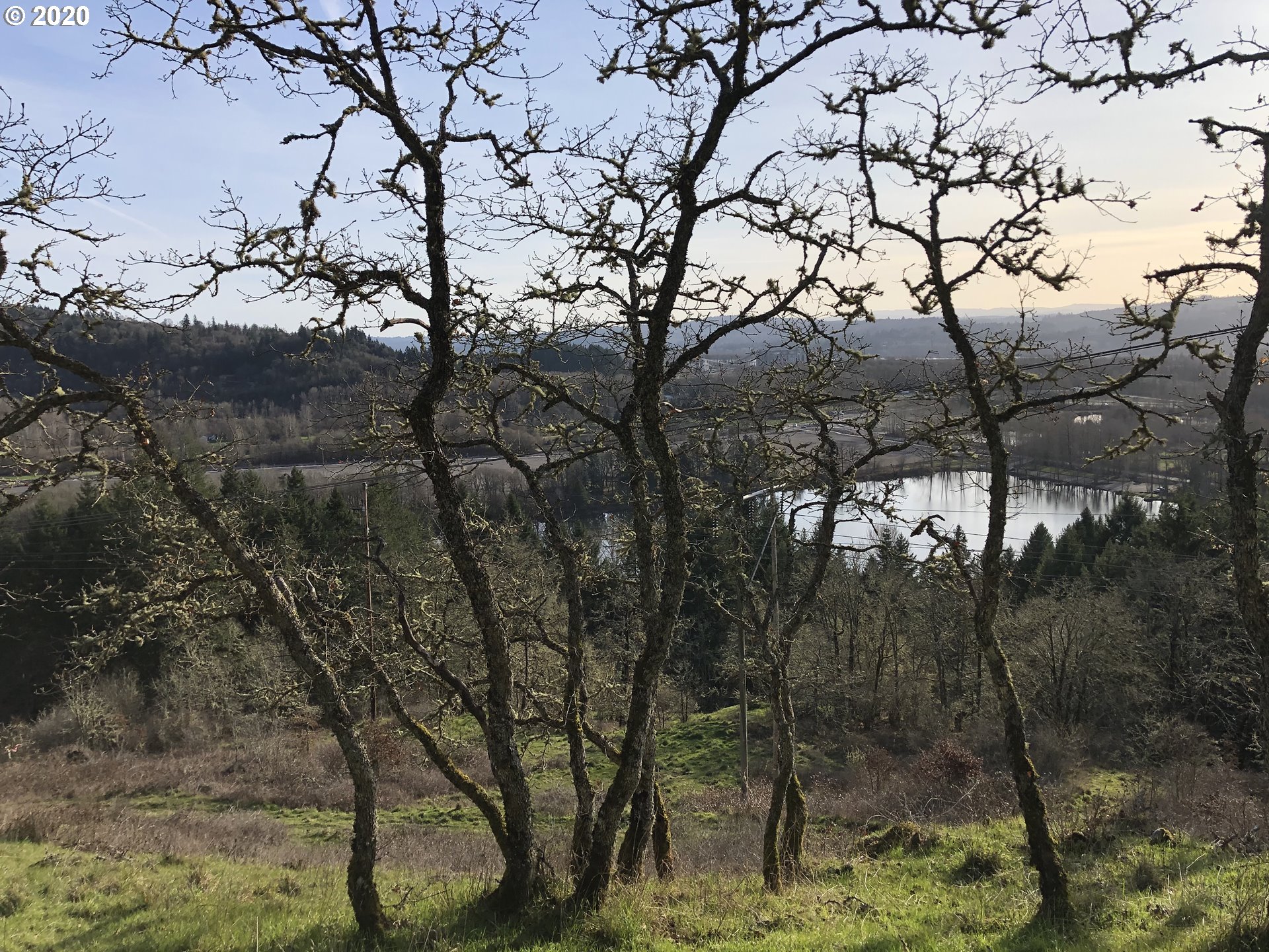 Bluff RD