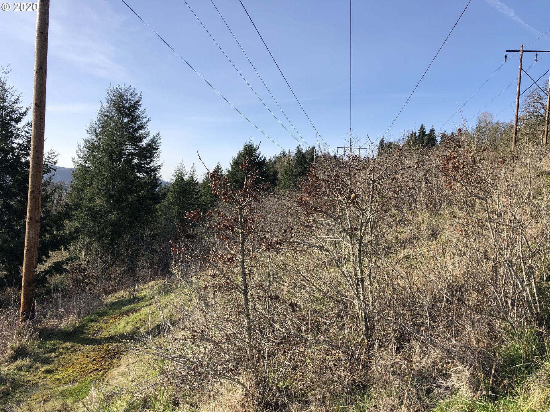 Bluff RD