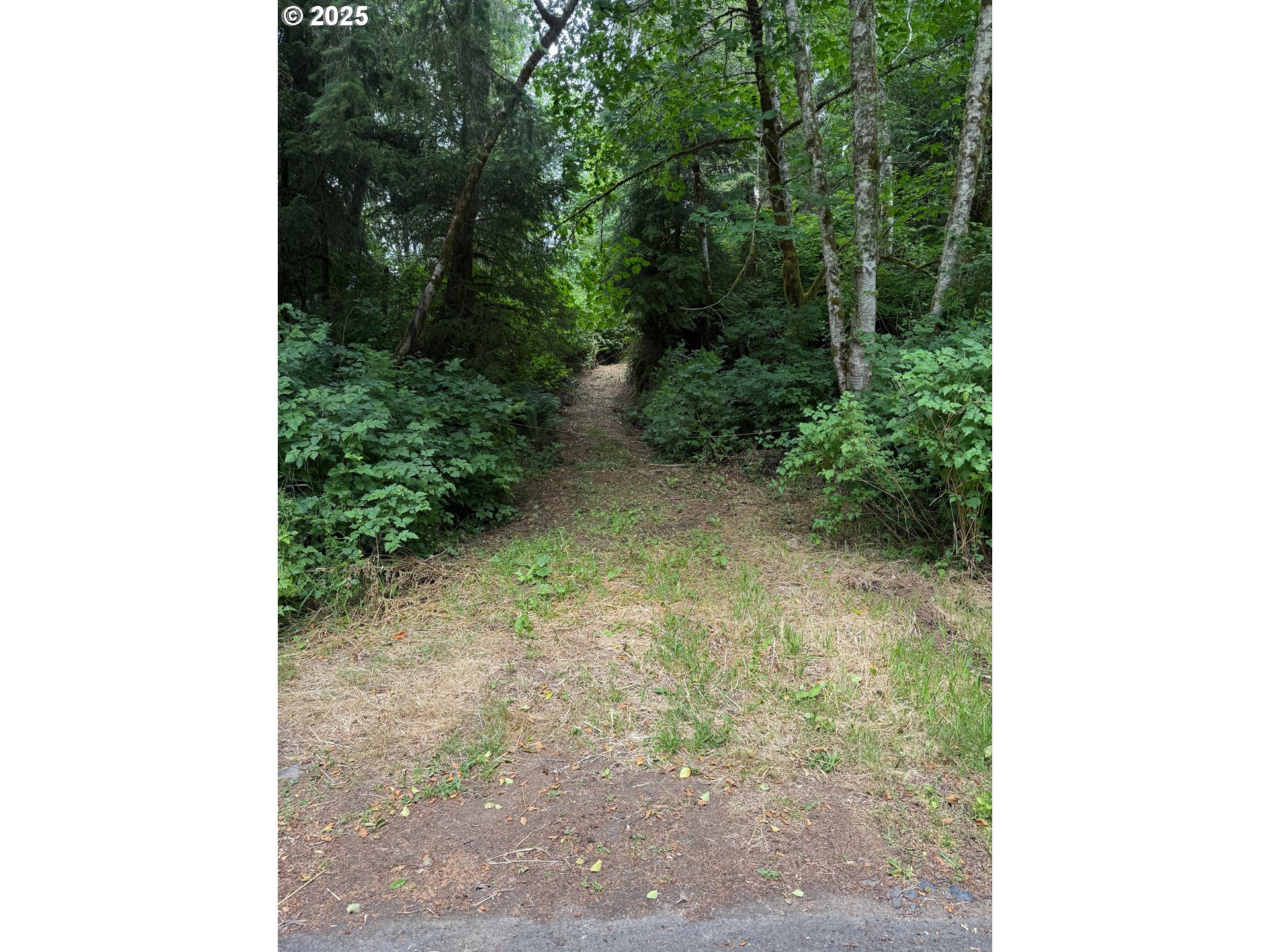 0 Altoona Pillar Rock