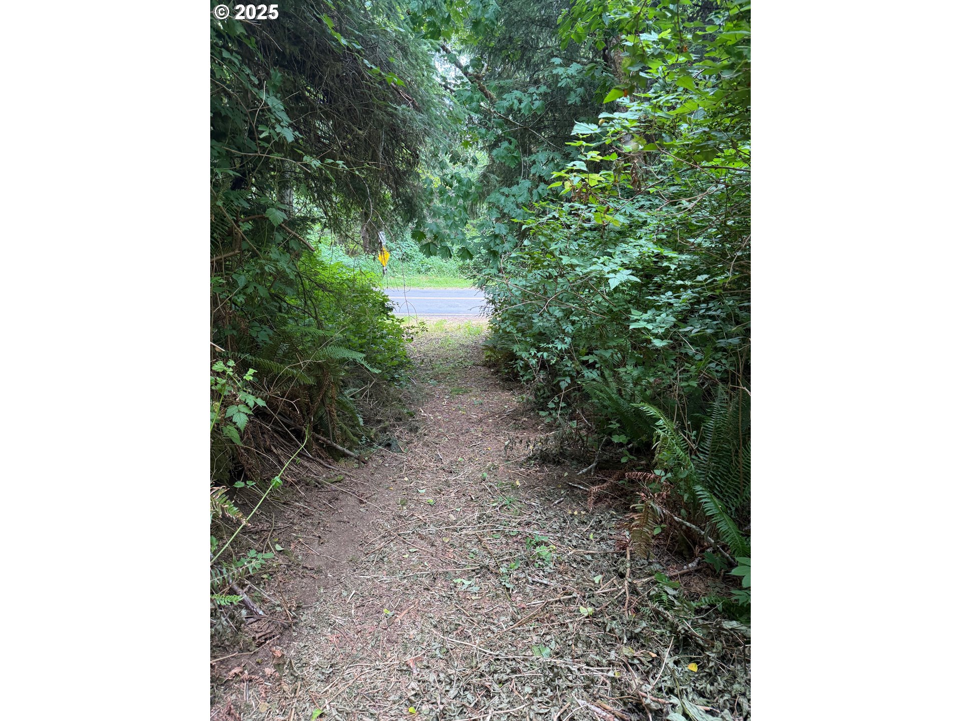 0 Altoona Pillar Rock