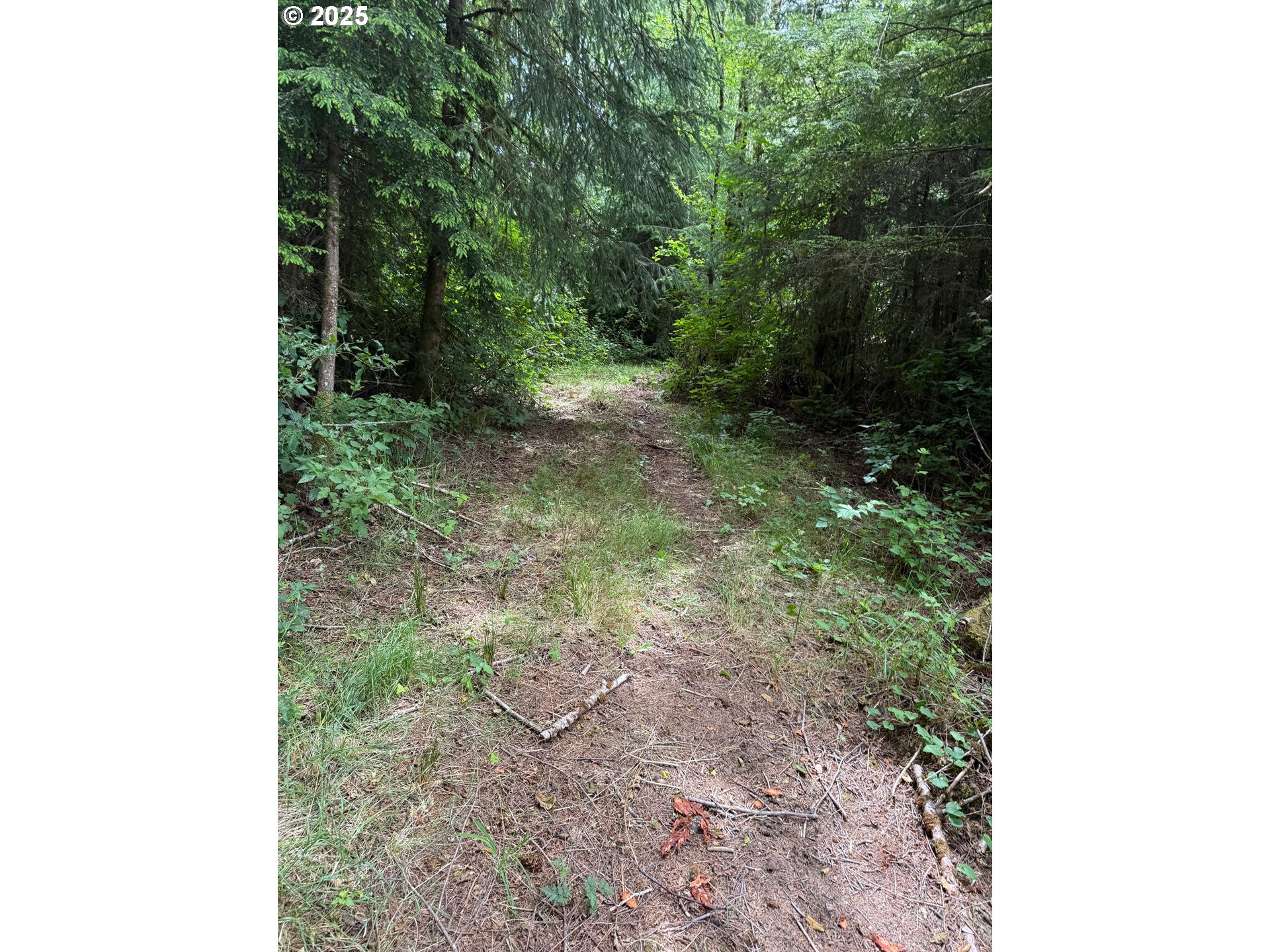 0 Altoona Pillar Rock