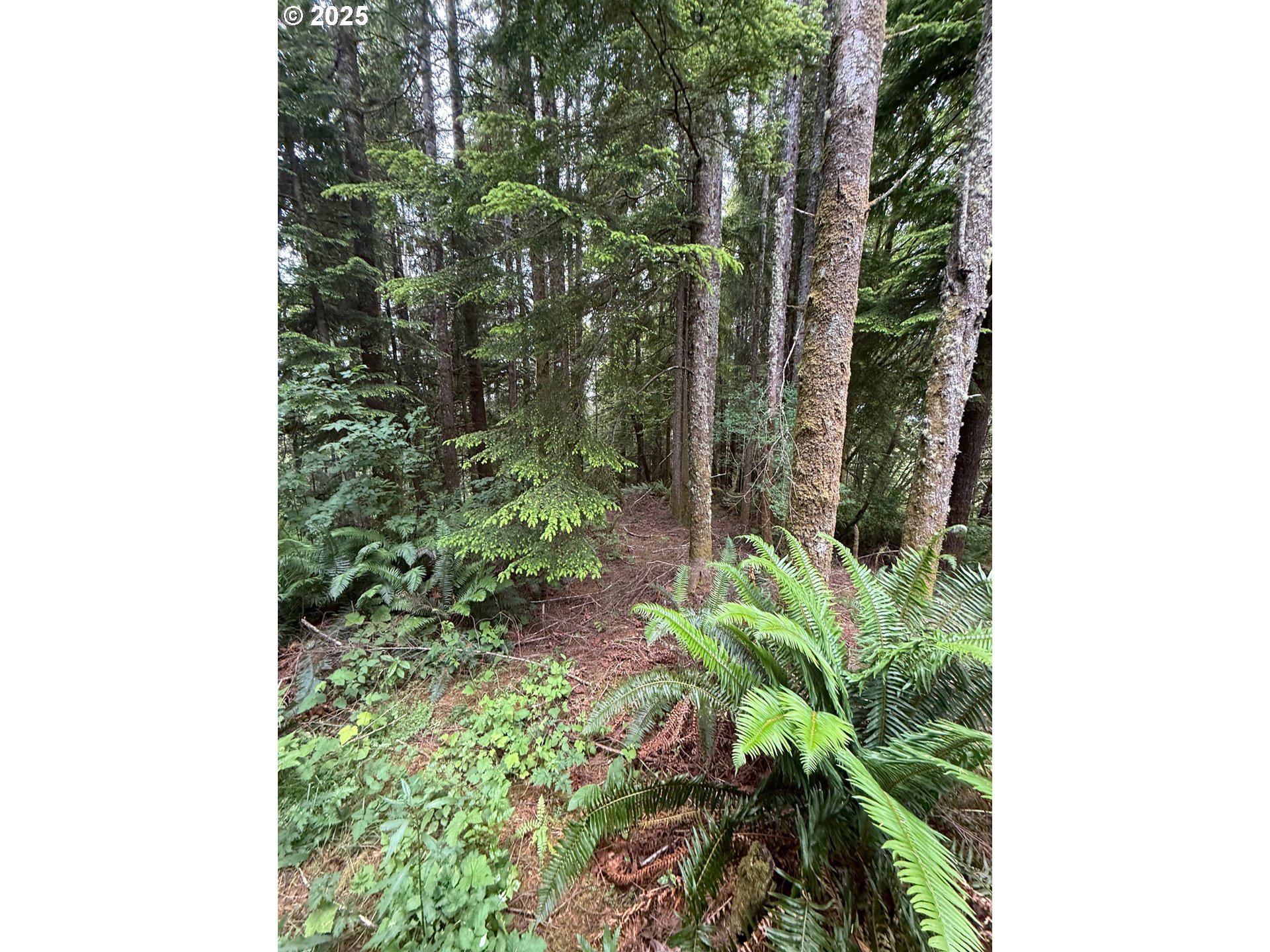 0 Altoona Pillar Rock