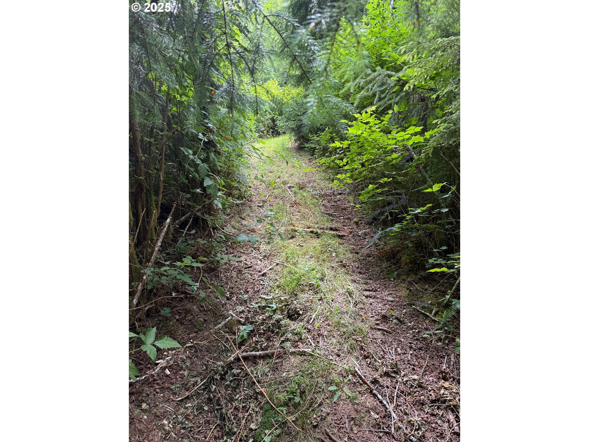 0 Altoona Pillar Rock