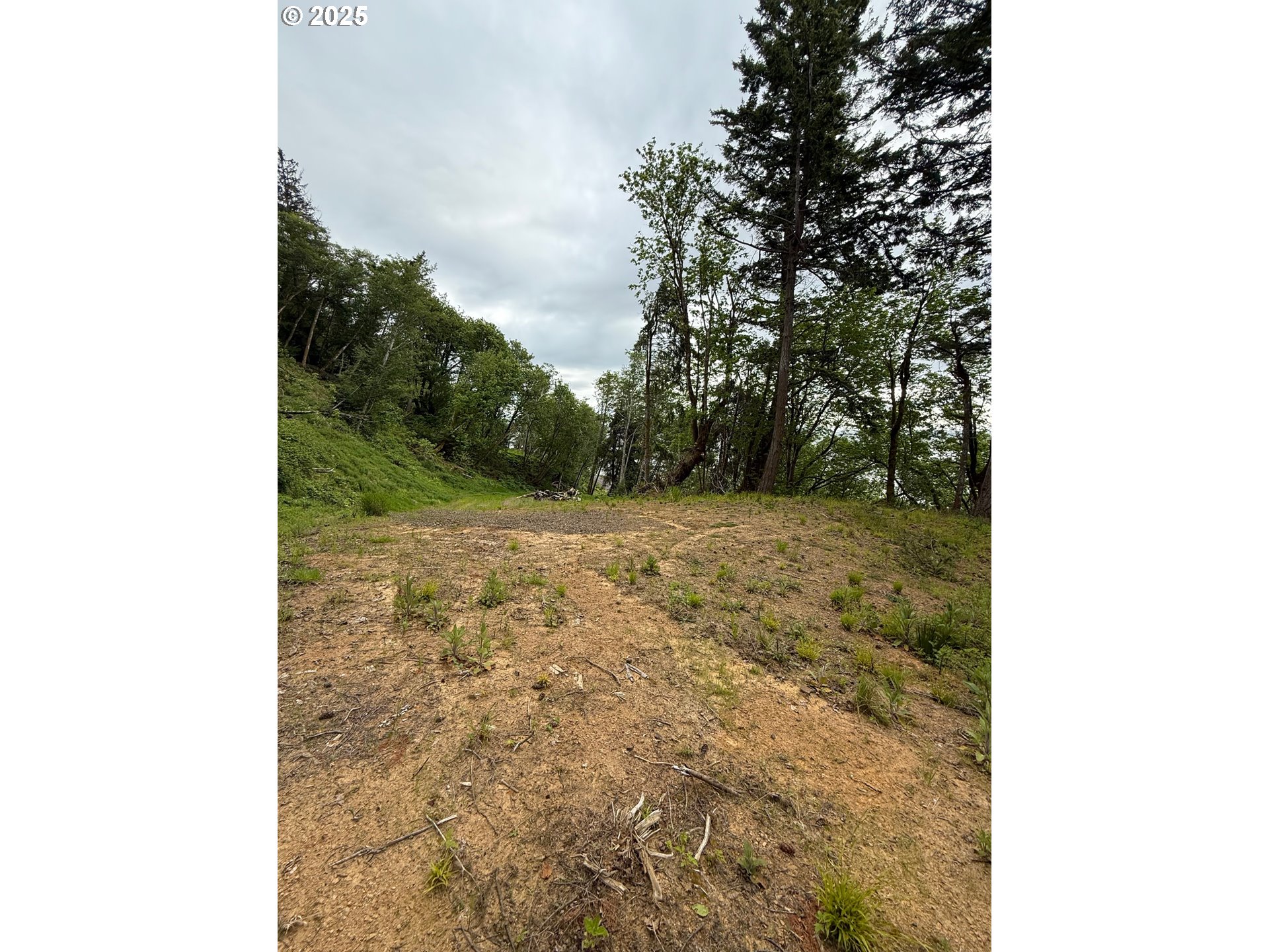 1049 ALTOONA PILLAR ROCK RD