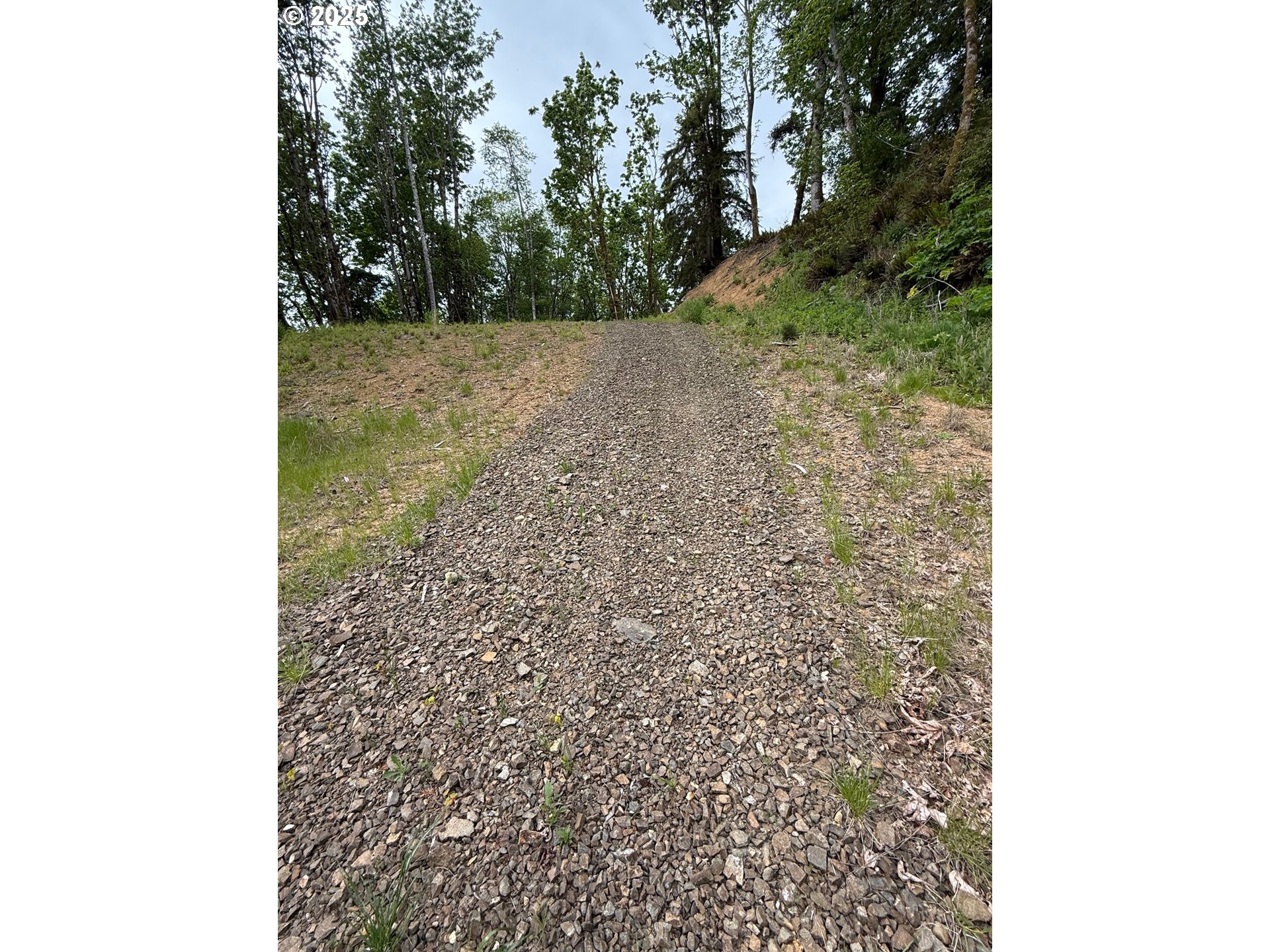 1049 ALTOONA PILLAR ROCK RD