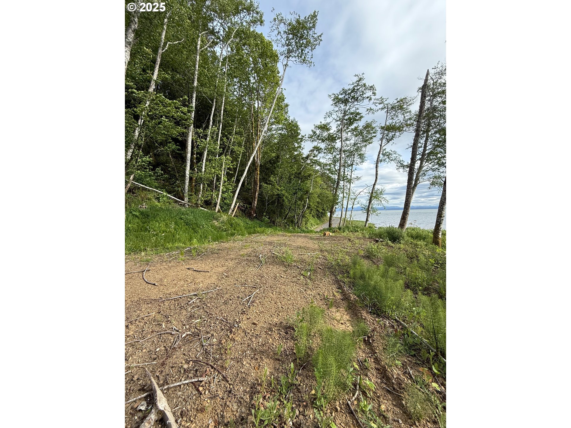 1049 ALTOONA PILLAR ROCK RD