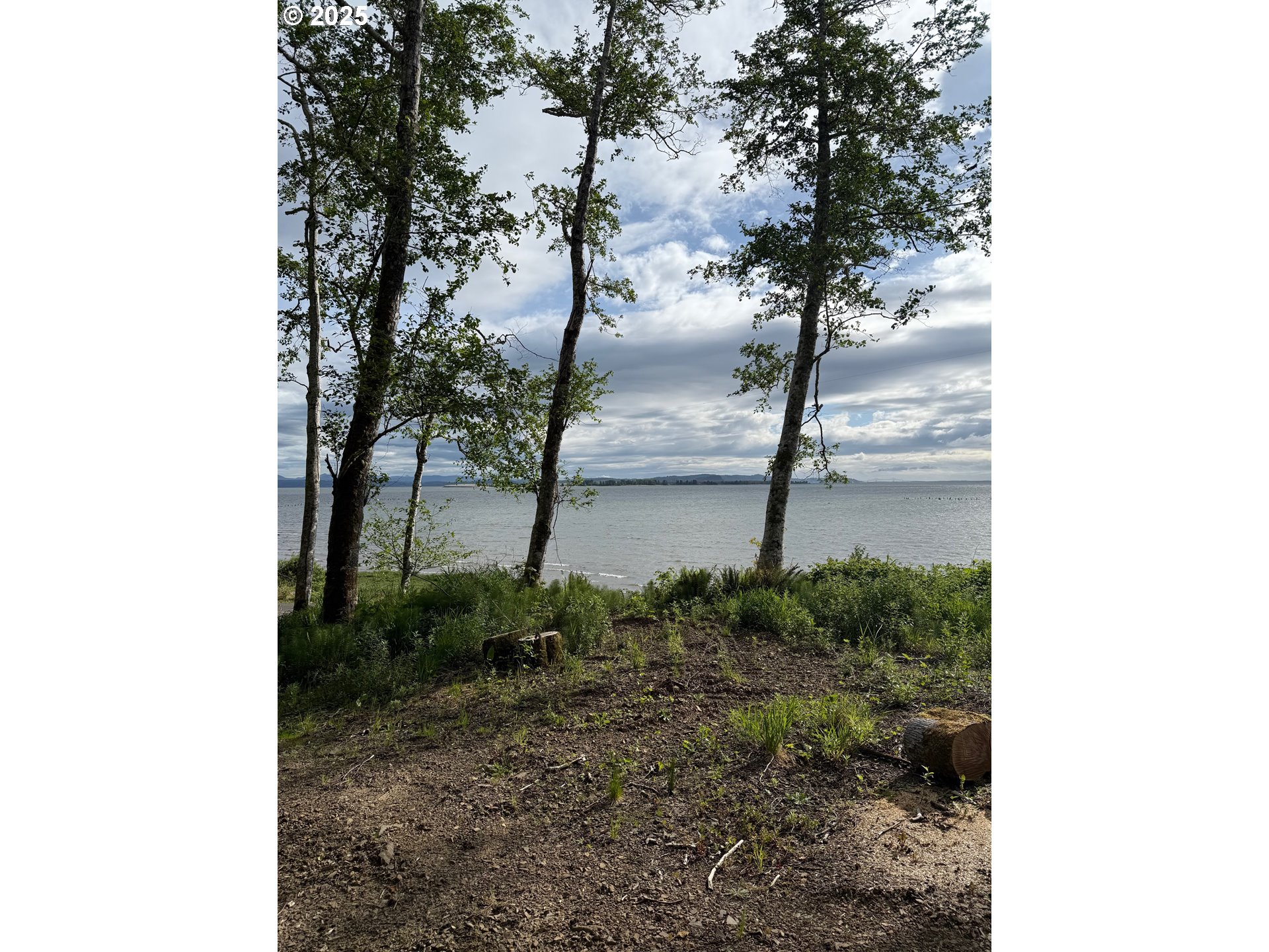 1049 ALTOONA PILLAR ROCK RD