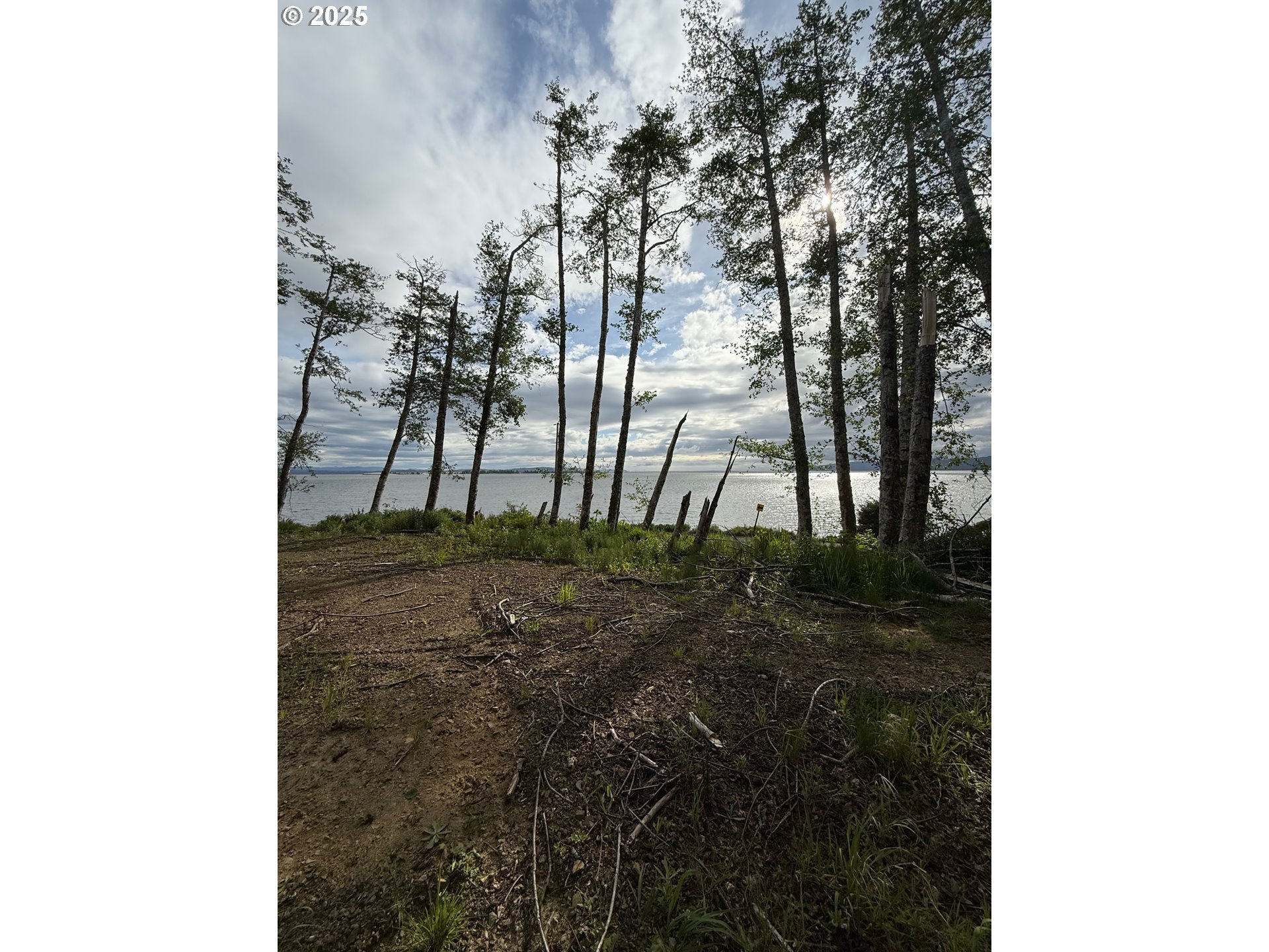 1049 ALTOONA PILLAR ROCK RD