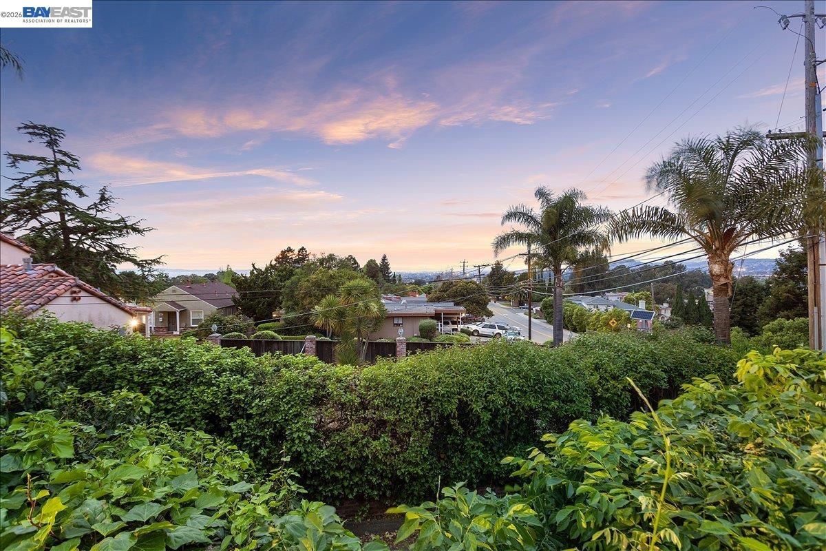 24805 Canyon View Ct