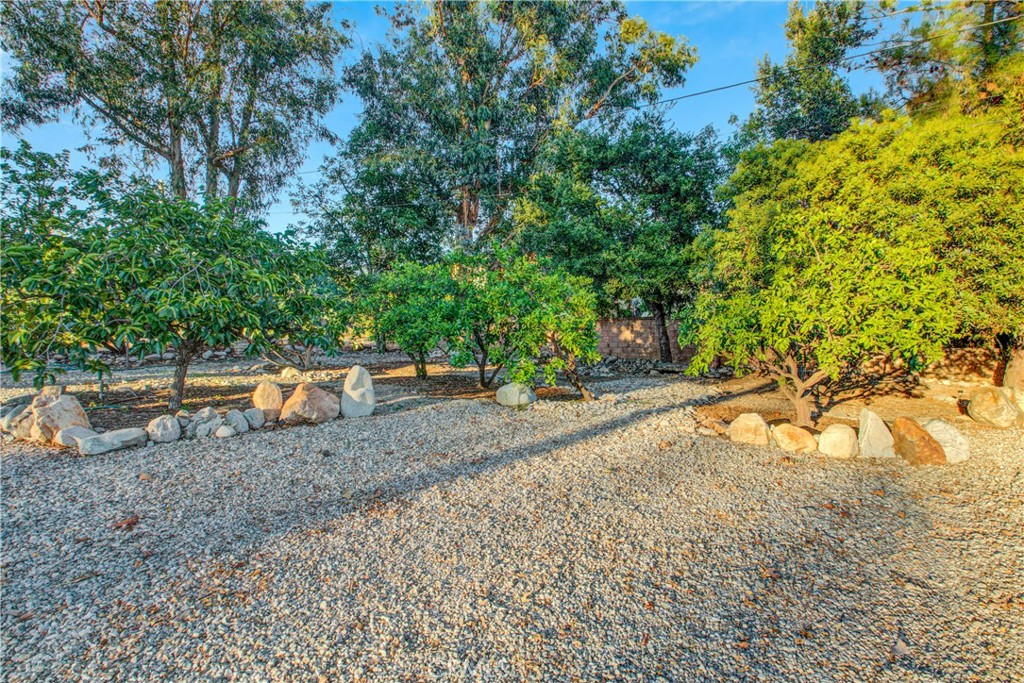 705 E Miramar Avenue