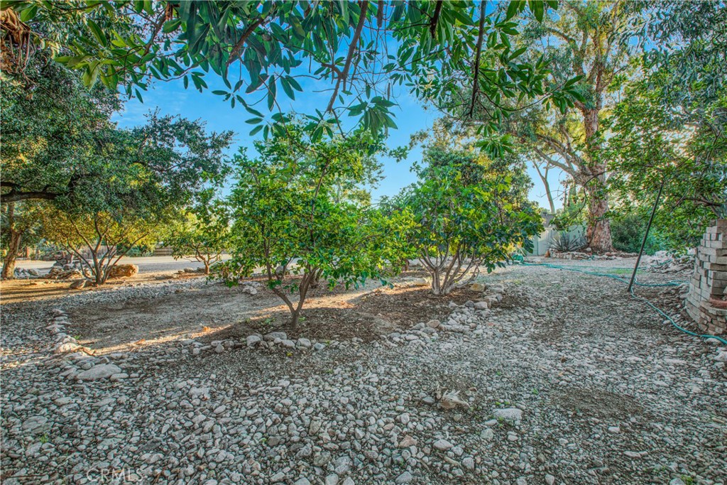 705 E Miramar Avenue