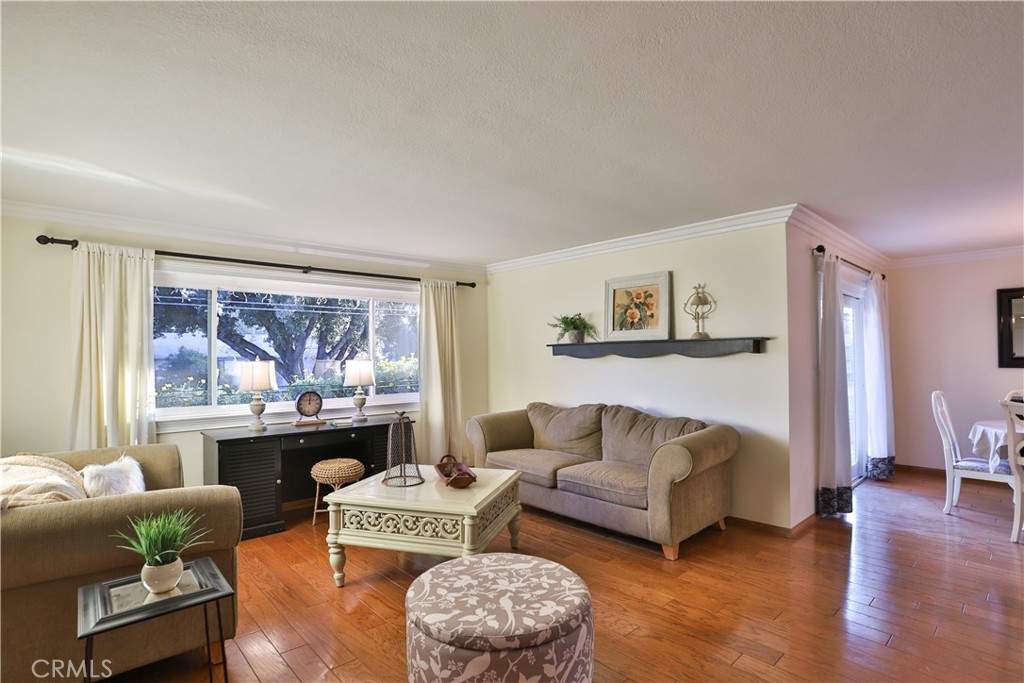 631 Occidental Drive